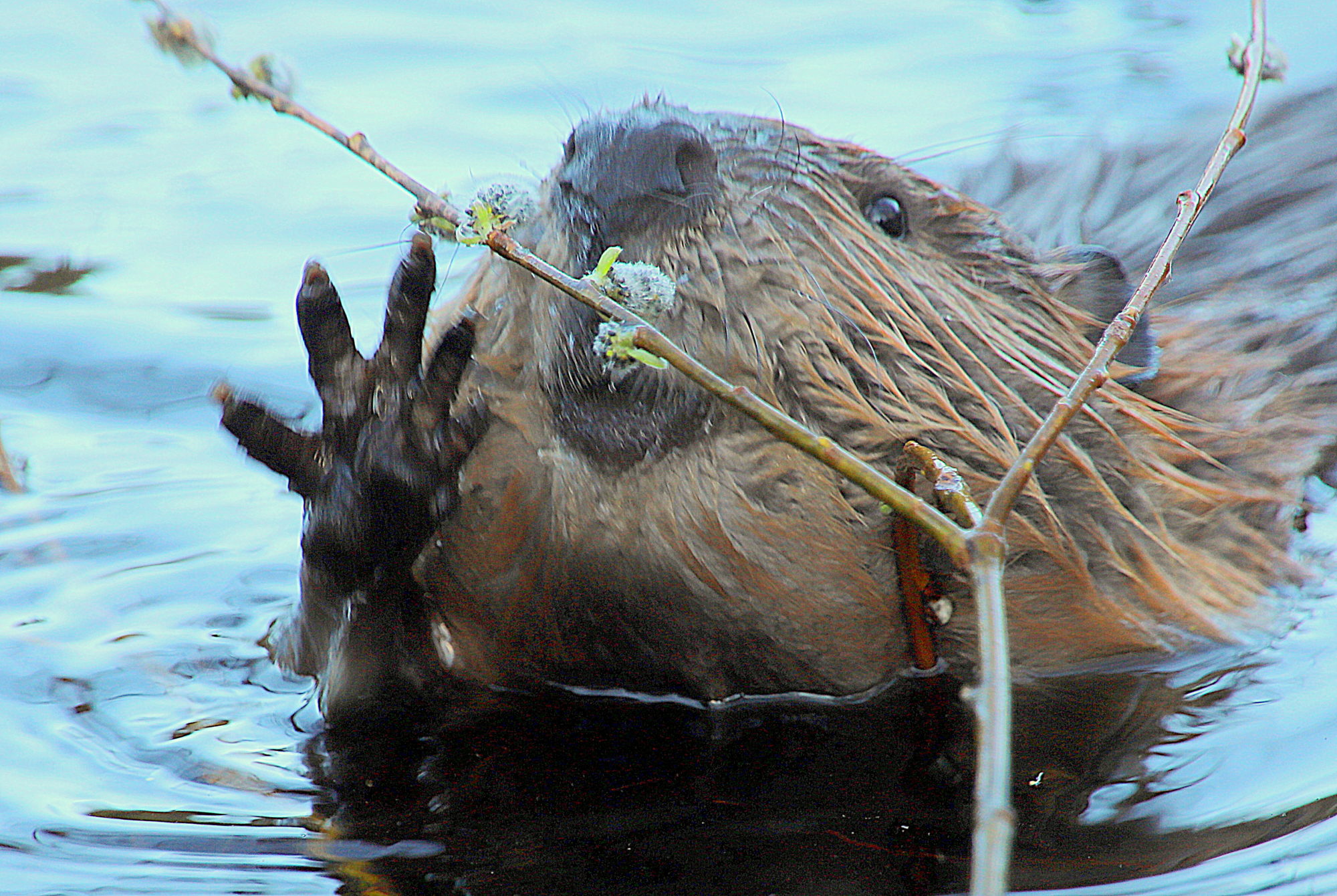 Valokuvaaja: sirpa Jyske