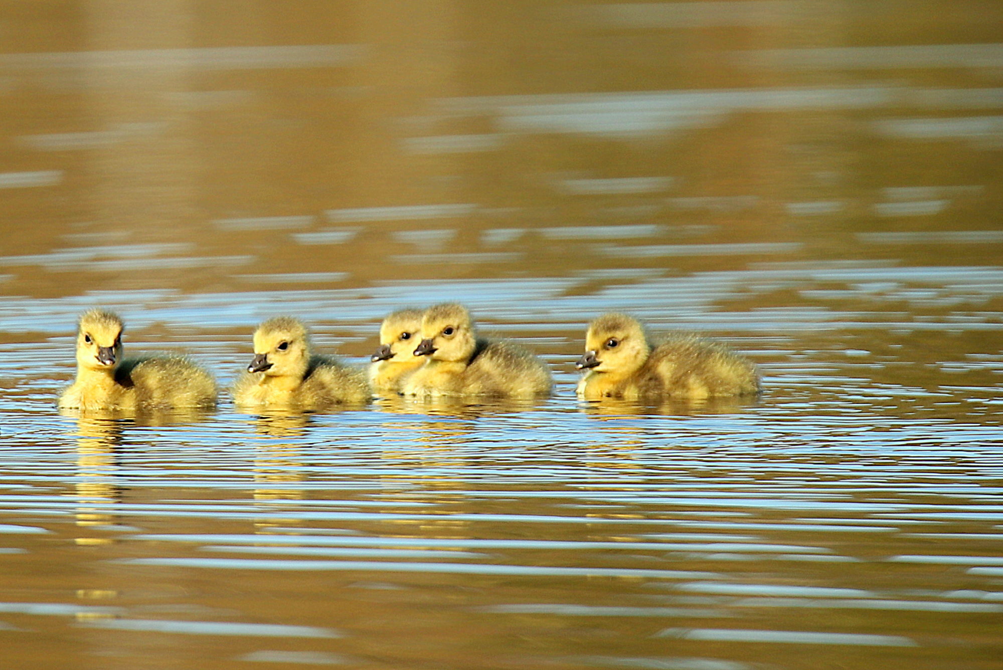 Valokuvaaja: sirpa jyske