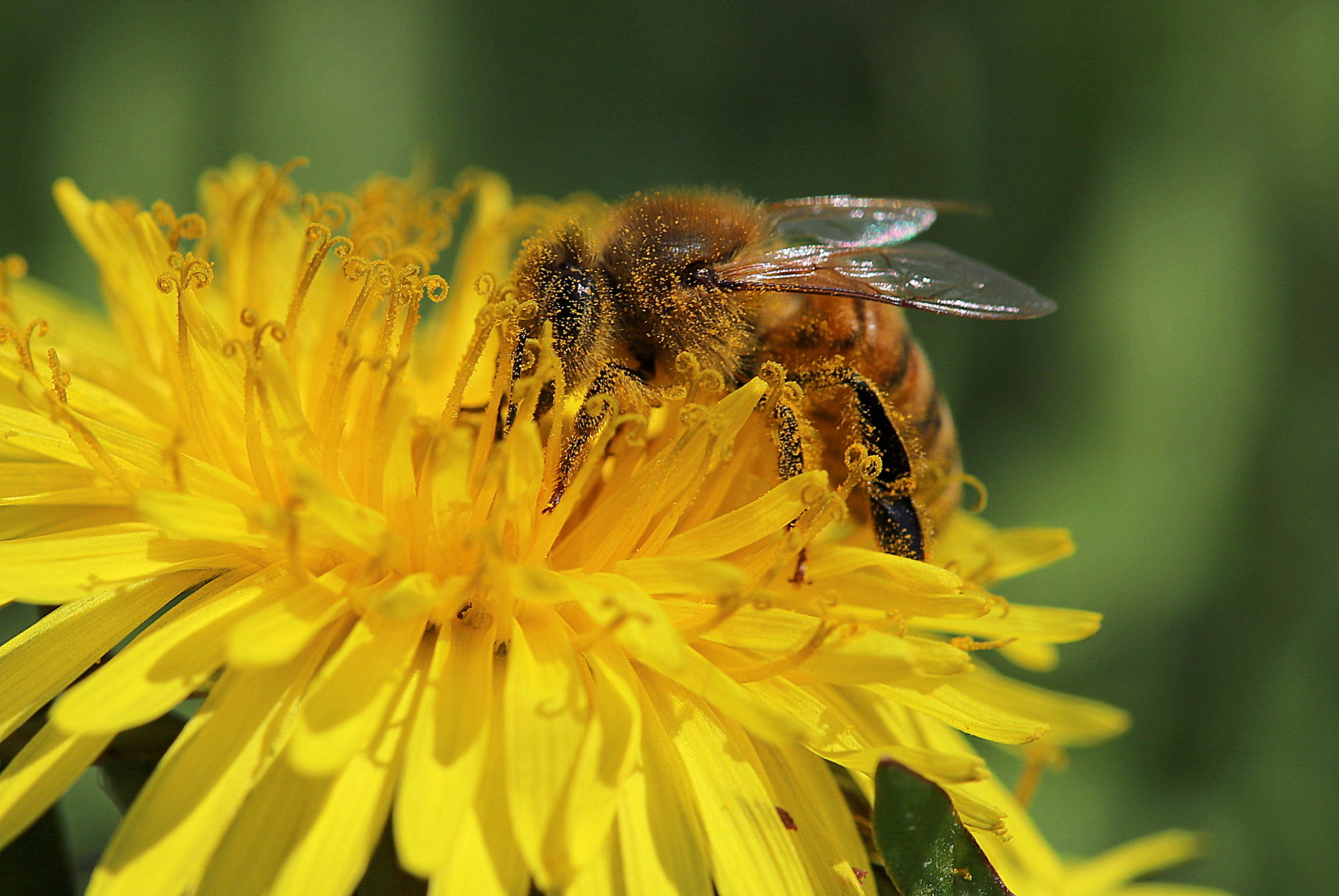 Valokuvaaja: sirpa jyske