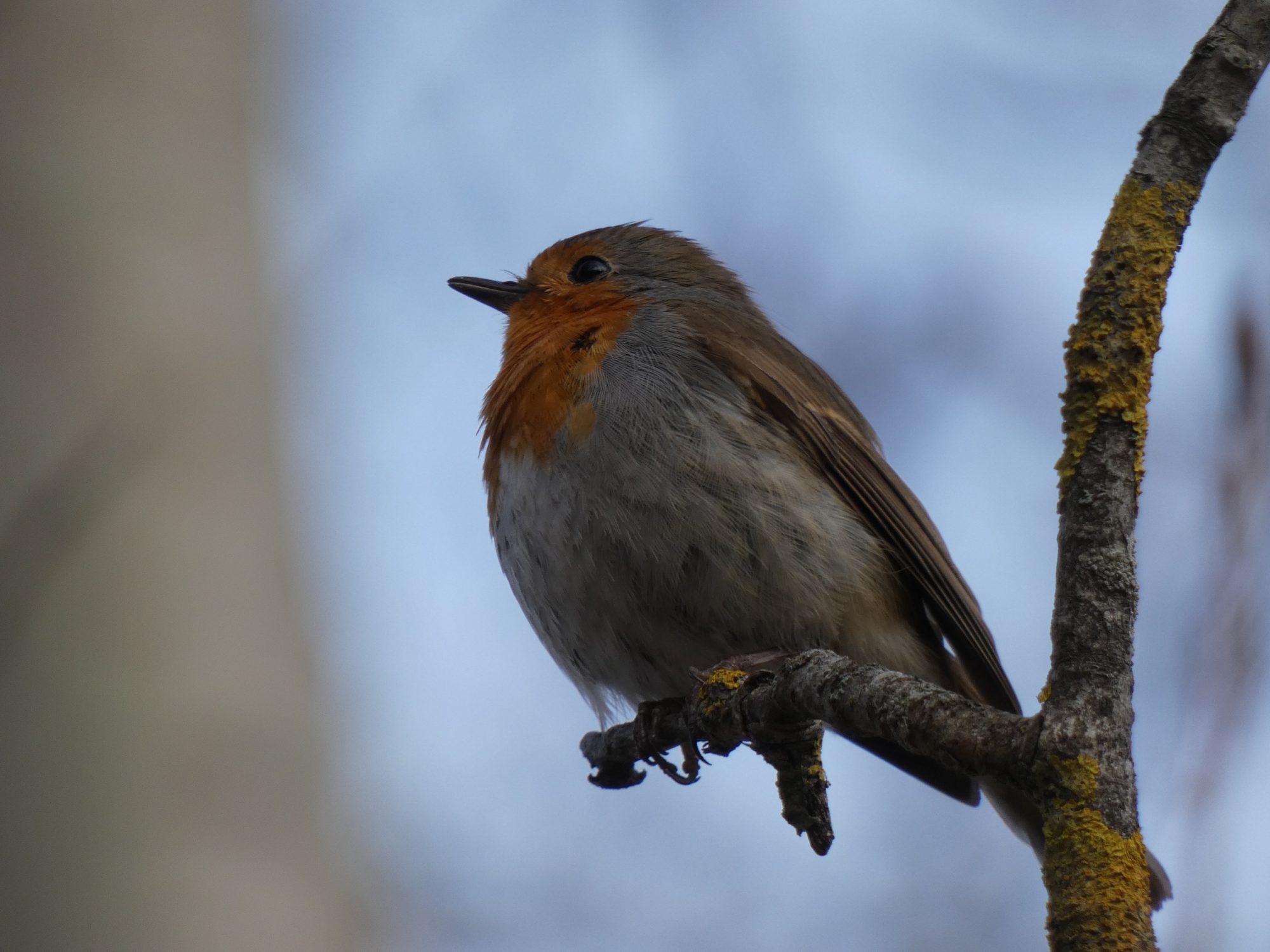 Valokuvaaja: Eero Peltonen