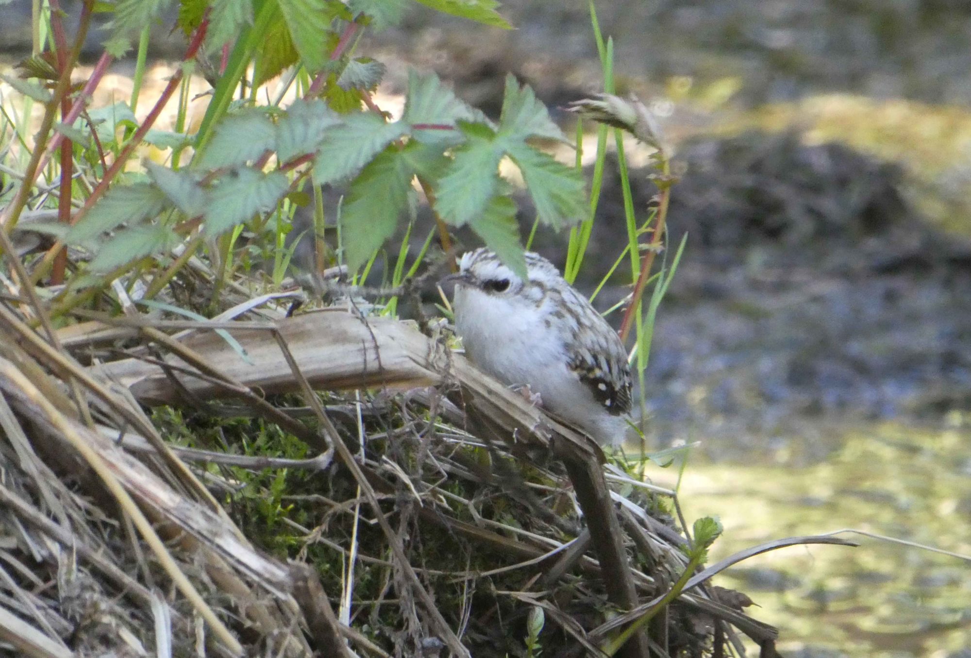 Valokuvaaja: Anja Mustamaa