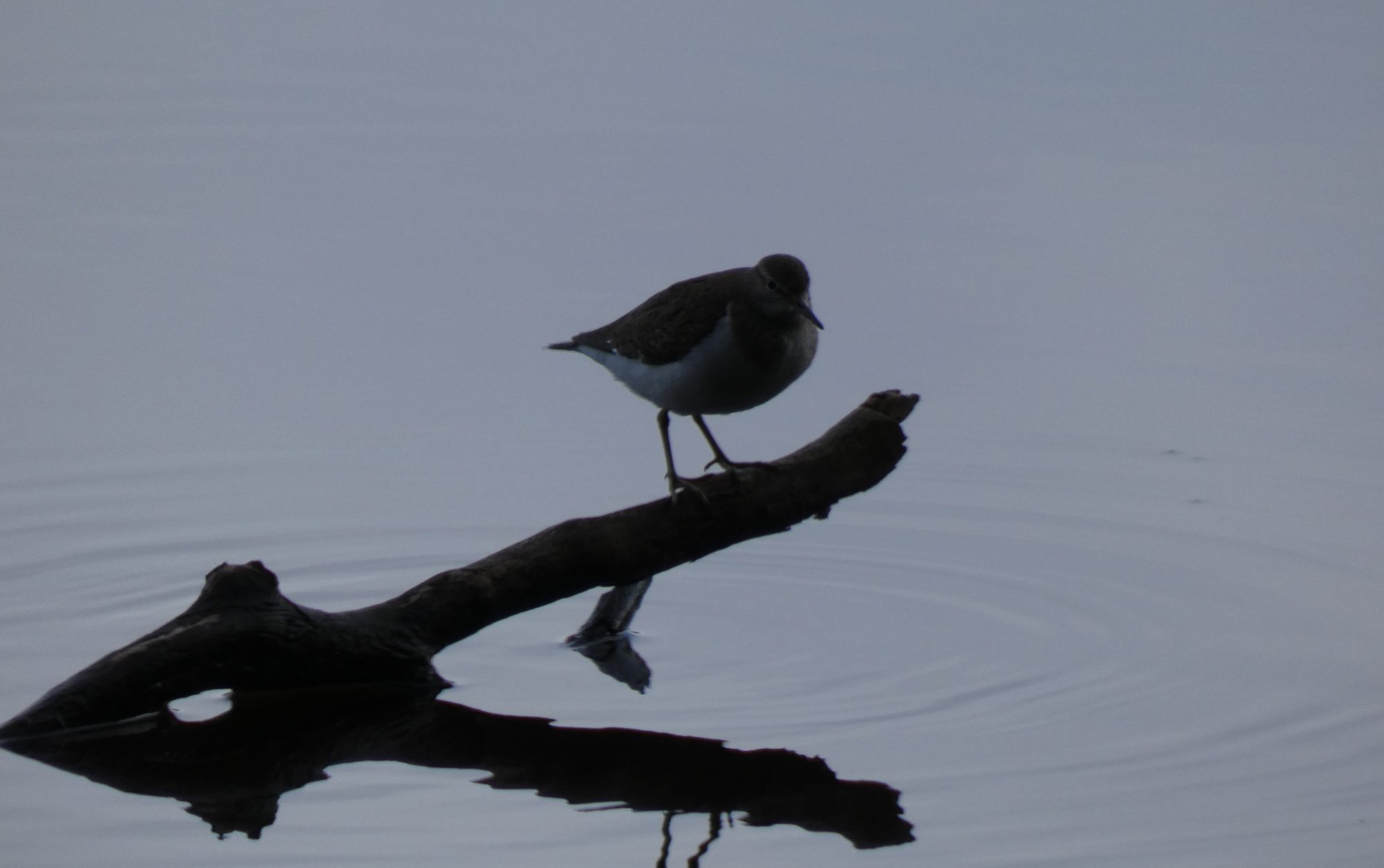Valokuvaaja: Eero Peltonen