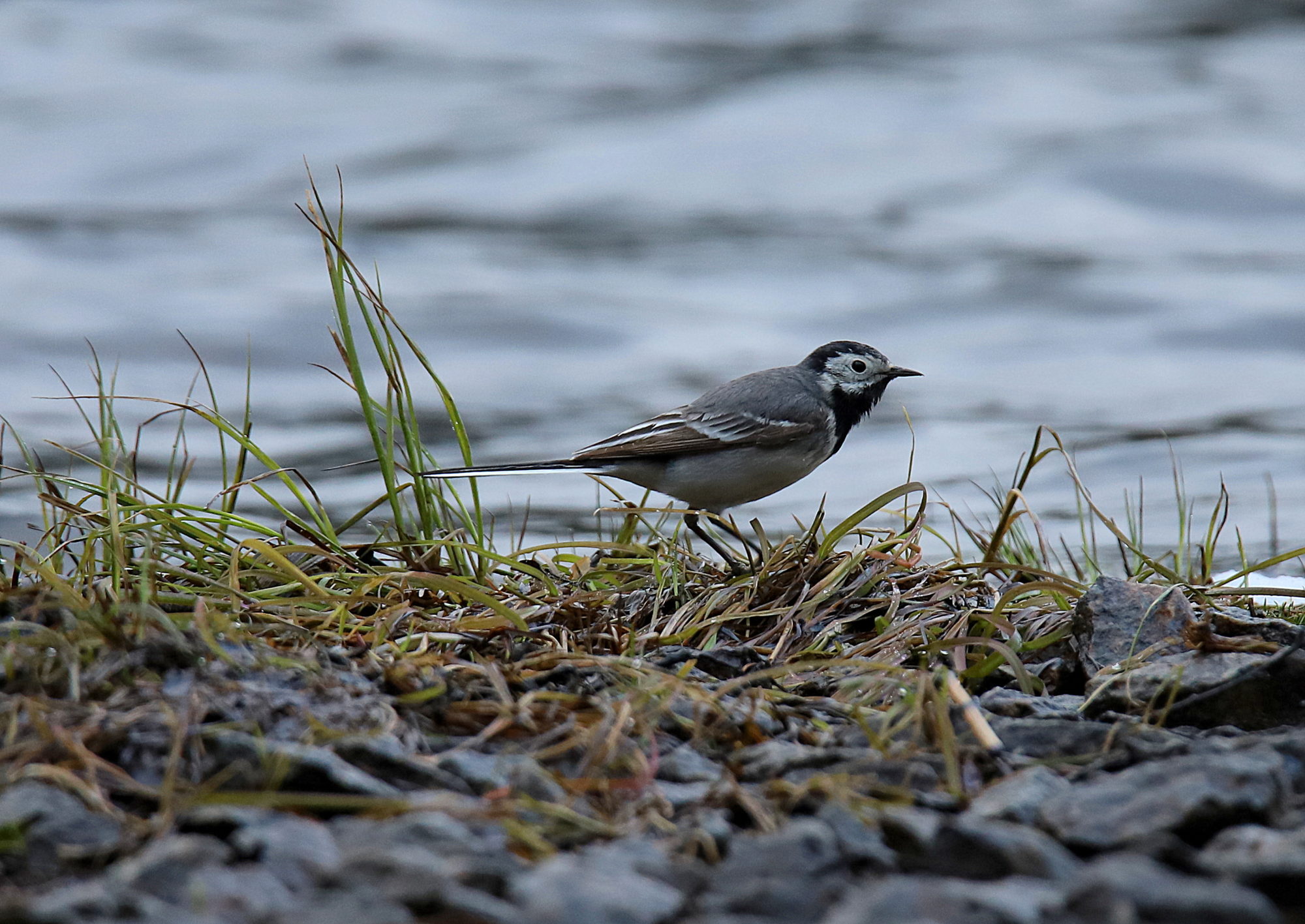 Valokuvaaja: sirpa Jyske