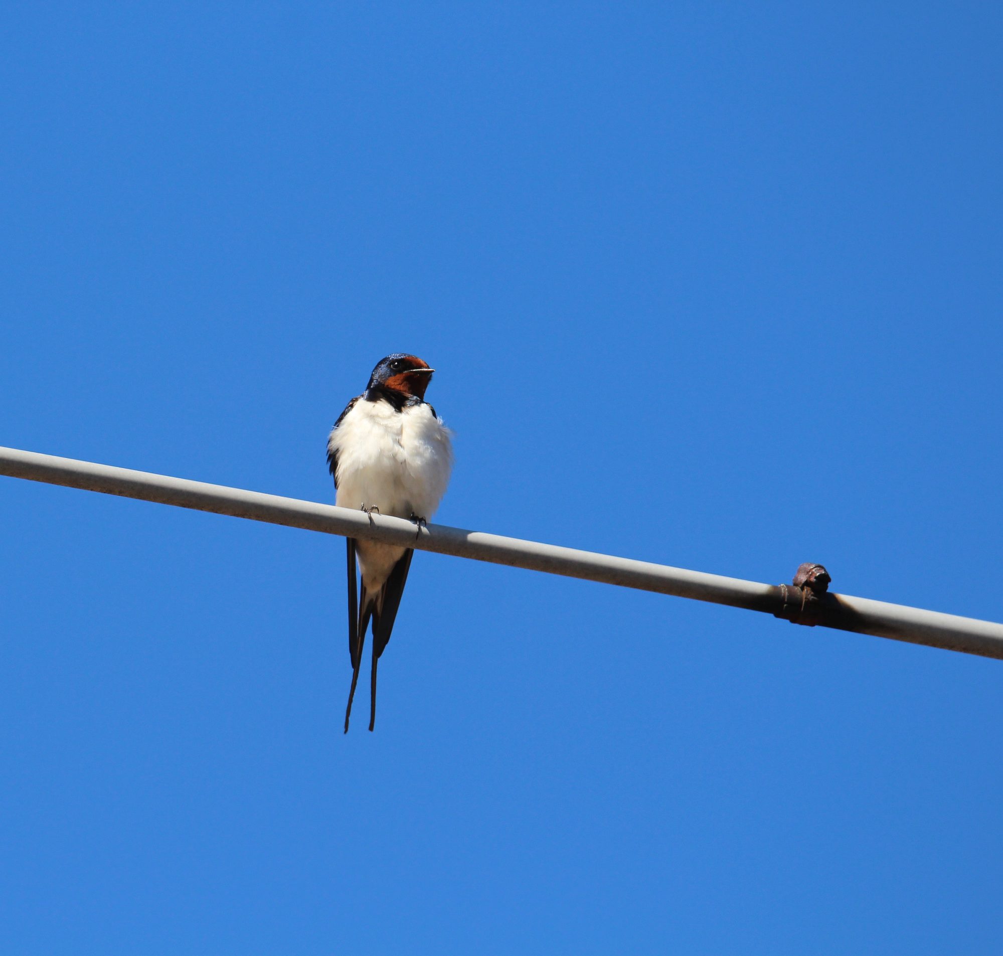 Valokuvaaja: Jaana Saarelainen