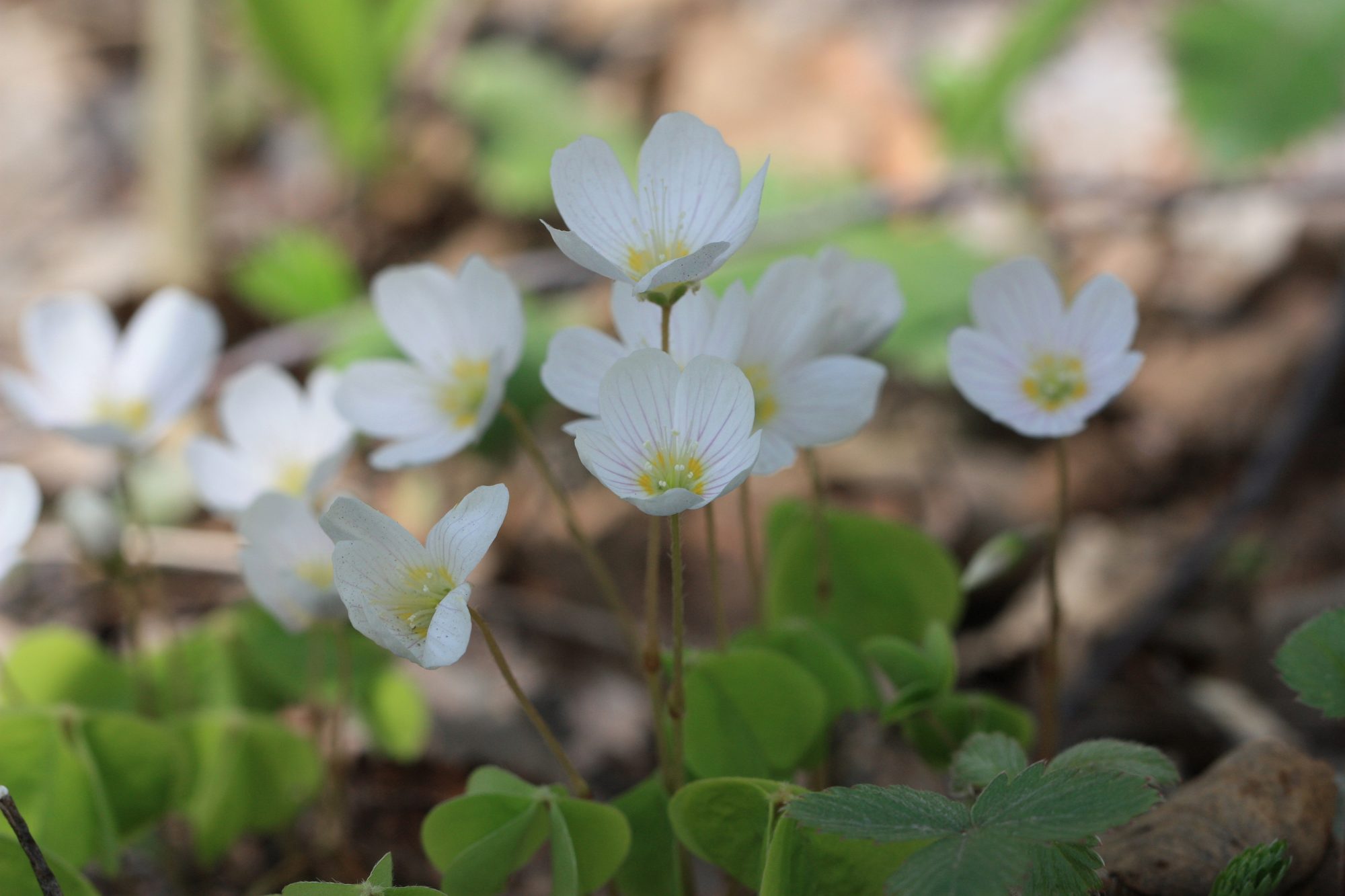 Valokuvaaja: Jaana Saarelainen Valokuvaaja: Jaana Saarelainen