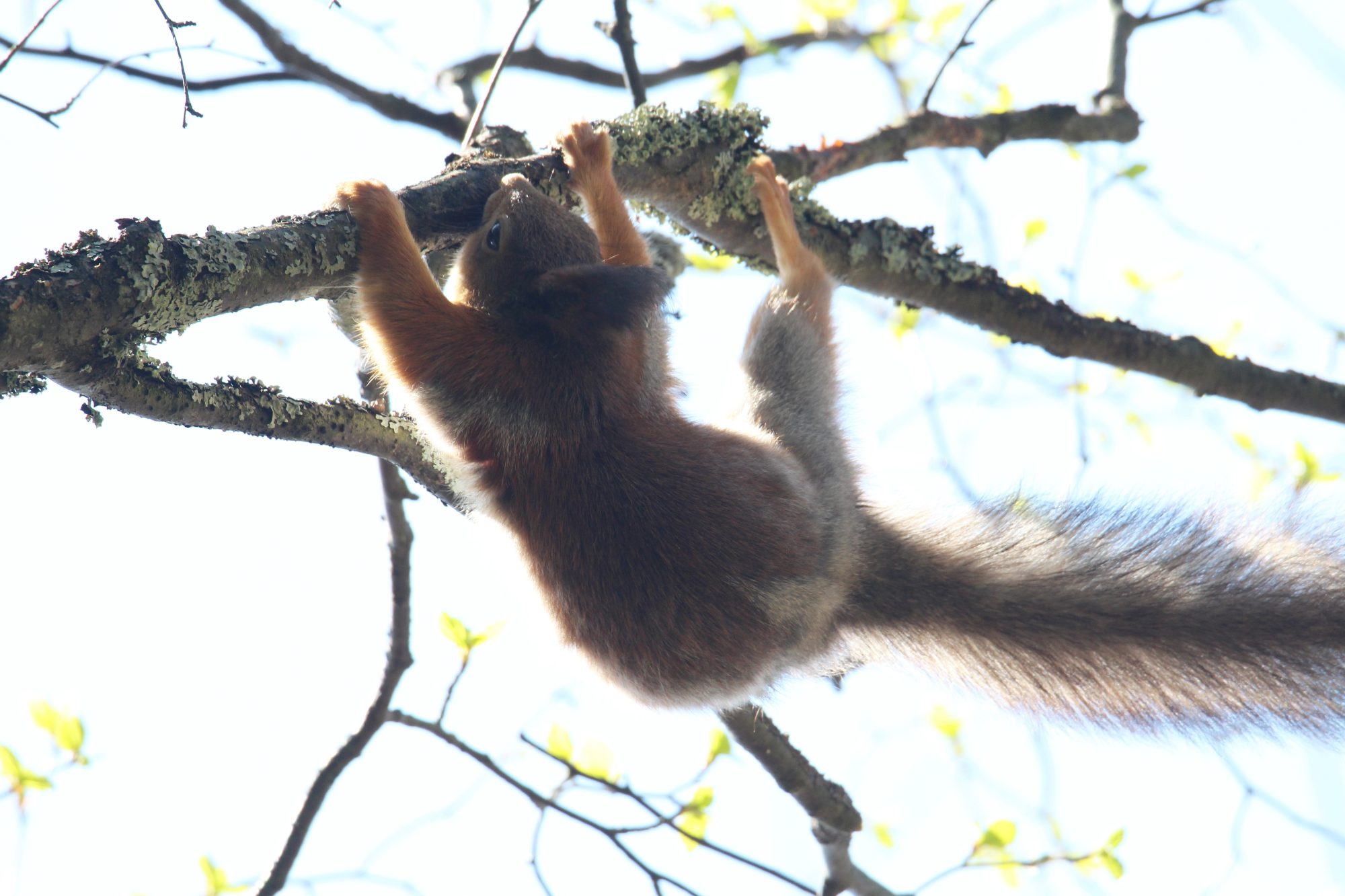 Valokuvaaja: Jaana Saarelainen