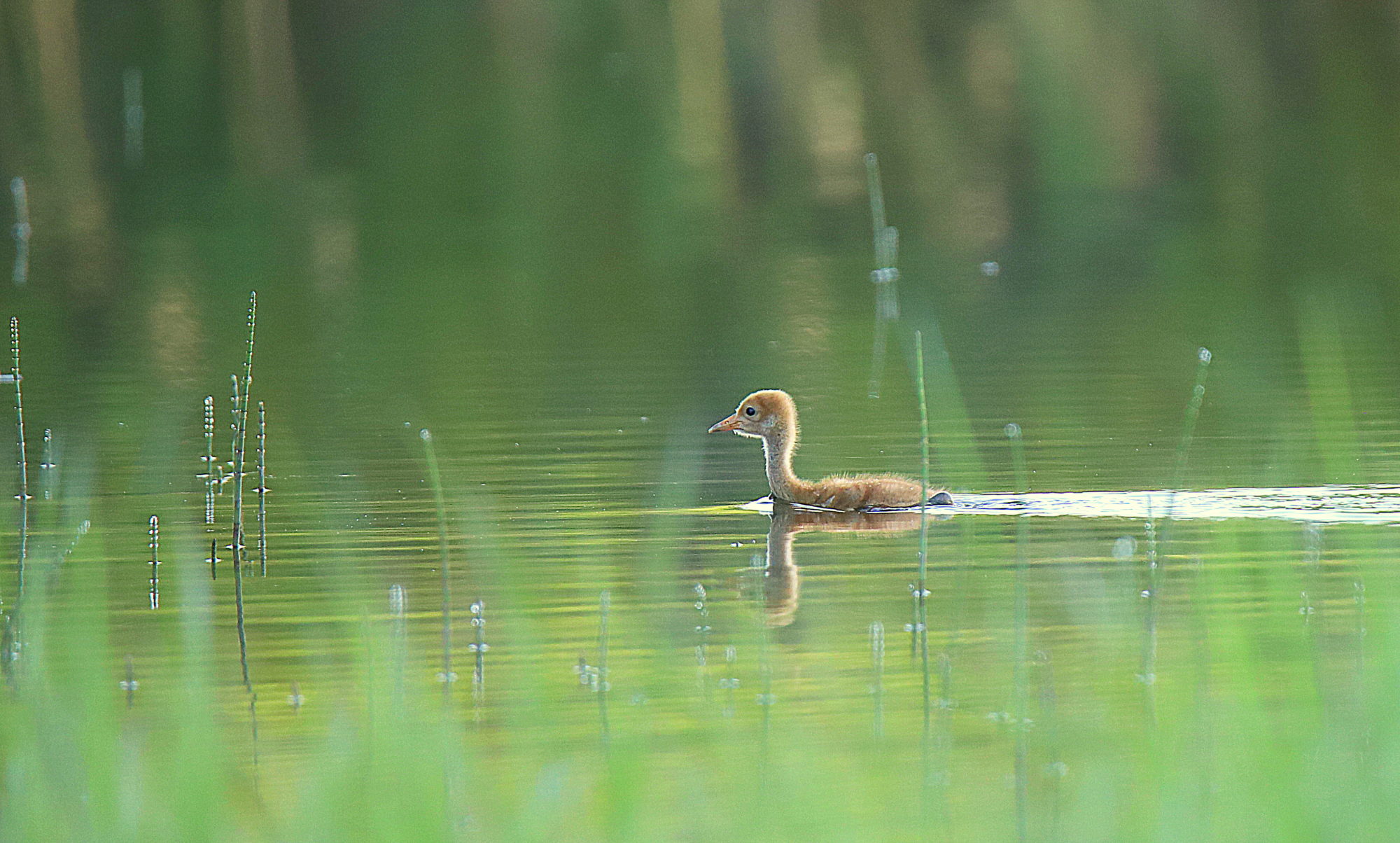 Valokuvaaja: sirpa Jyske Valokuvaaja: sirpa Jyske