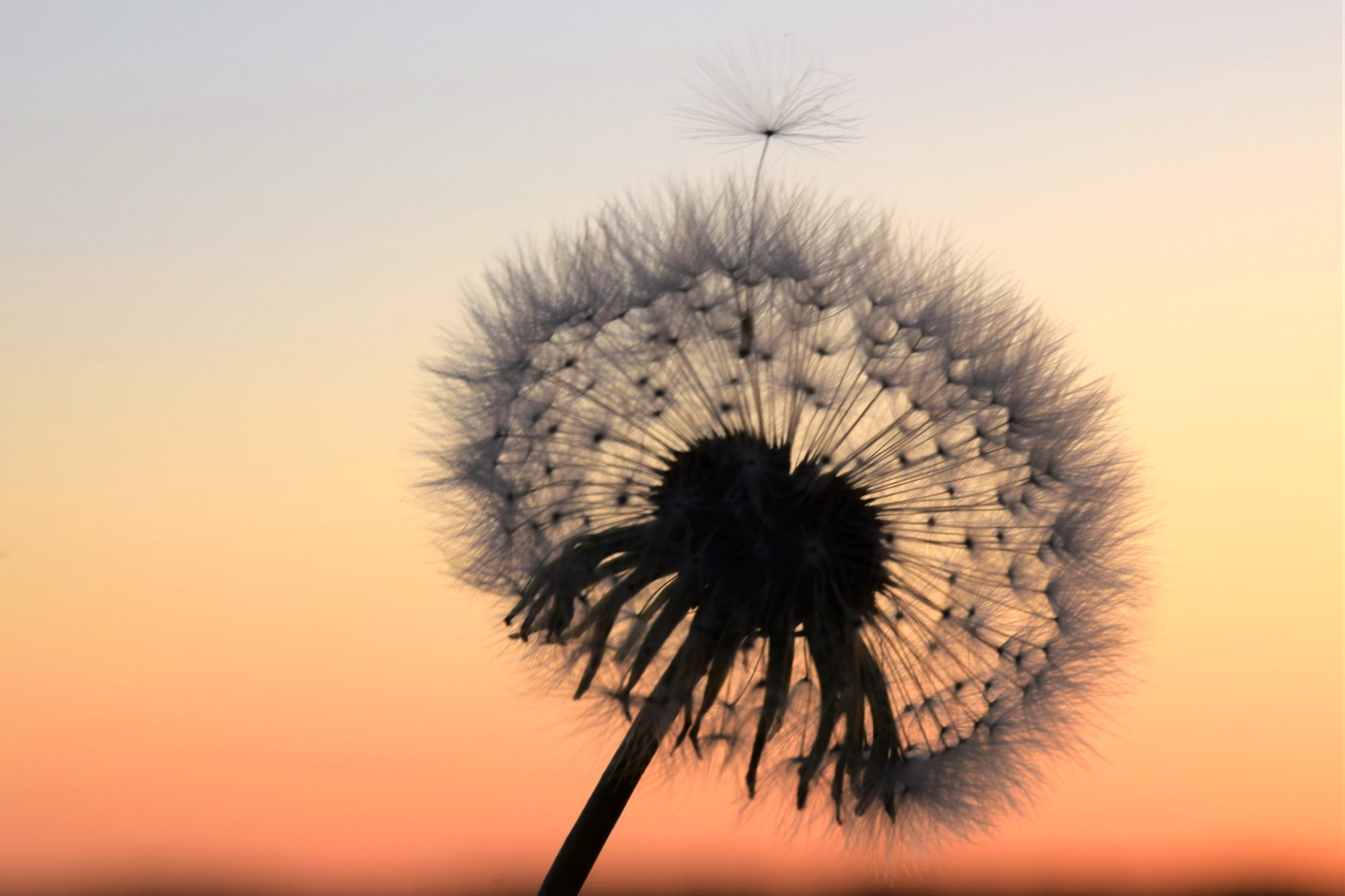 Valokuvaaja: Leena Rissanen