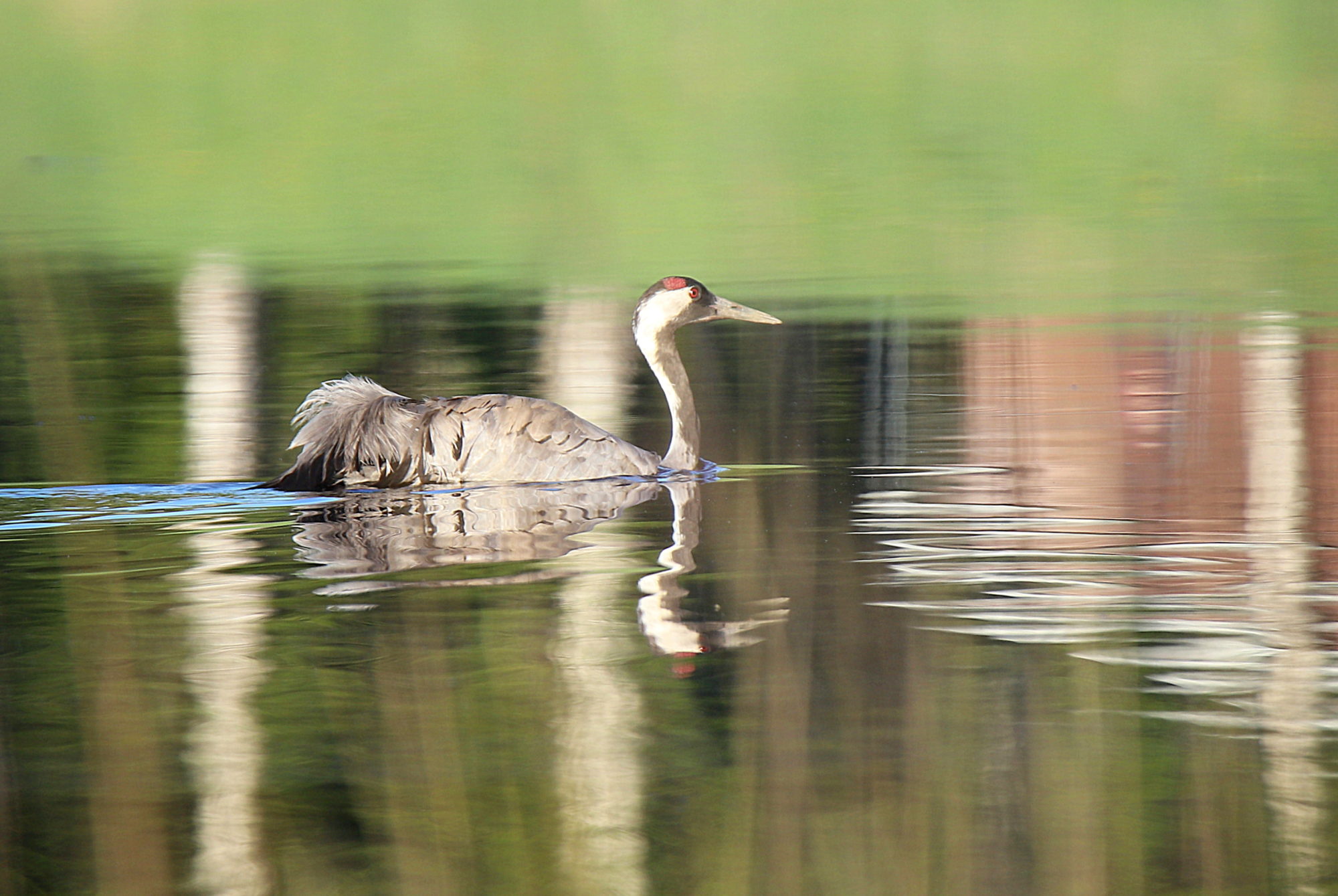 Valokuvaaja: sirpa jyske