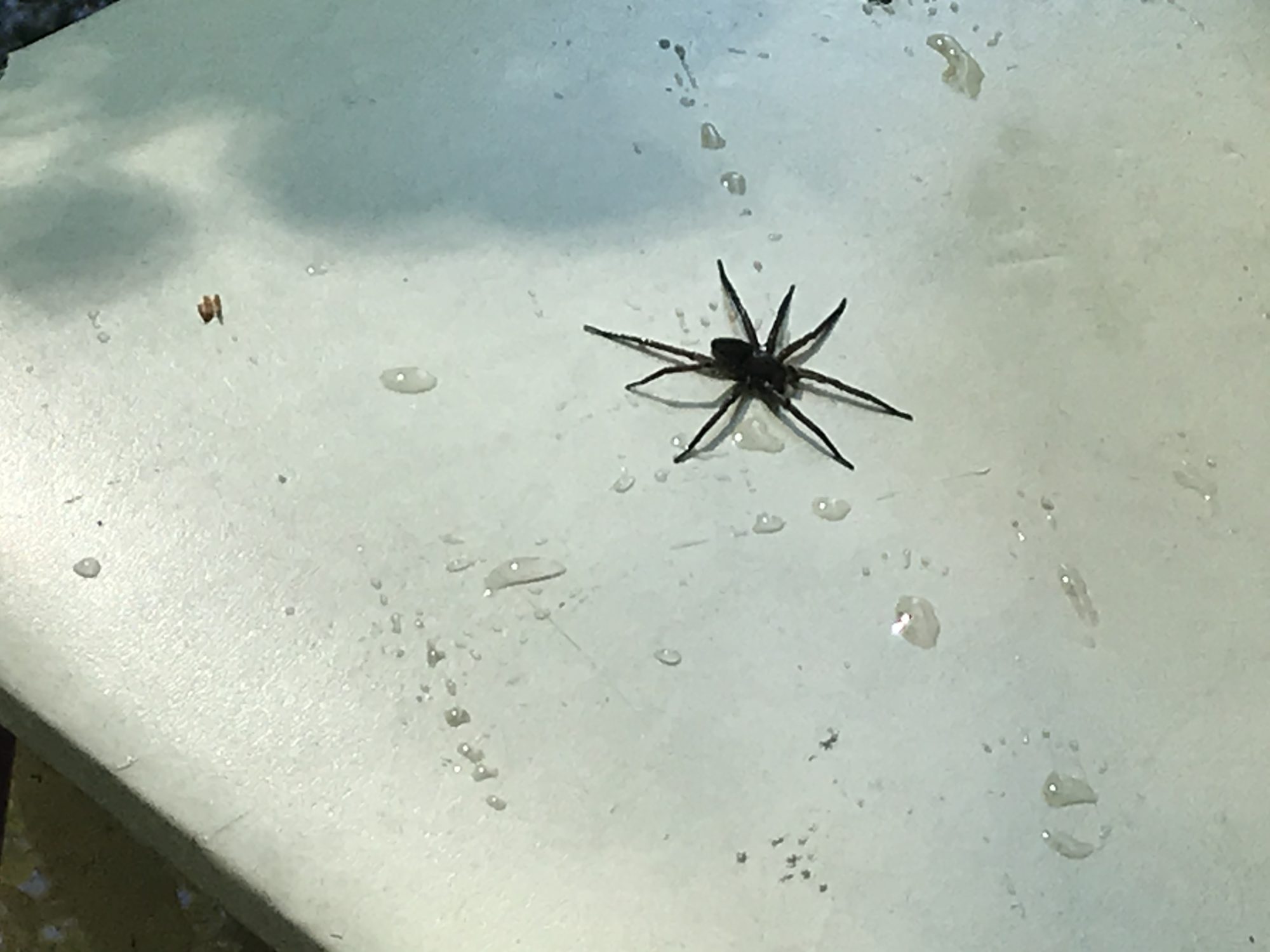 Valokuvaaja: Esa Rumpiläinen