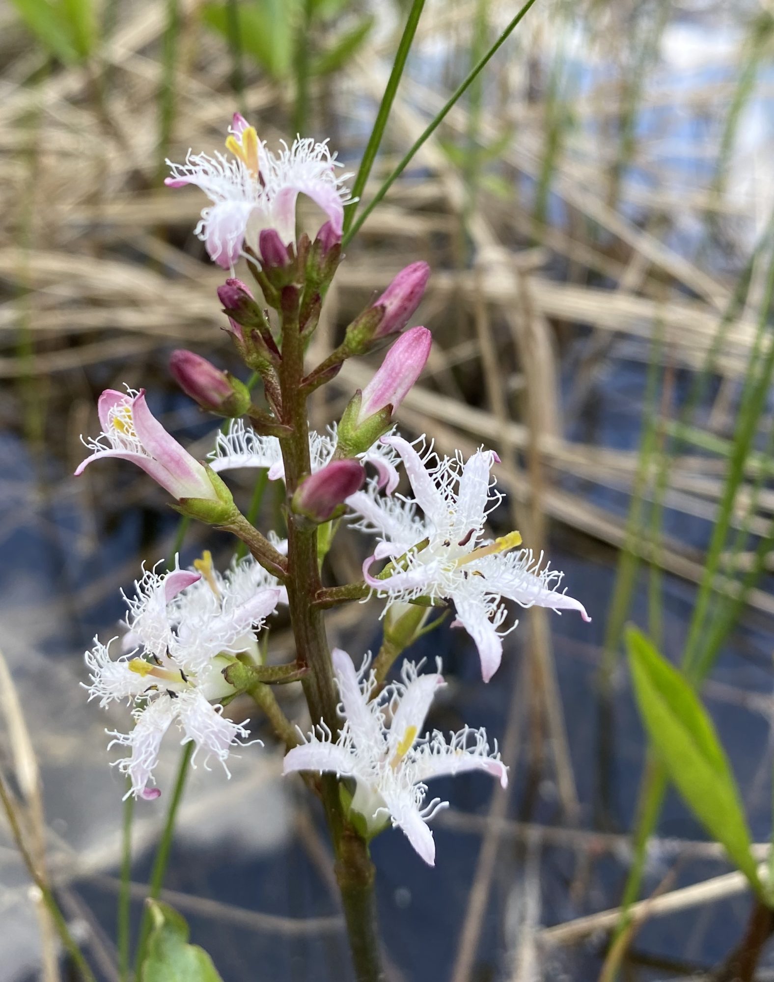 Valokuvaaja: Markku Ranta-Eilola