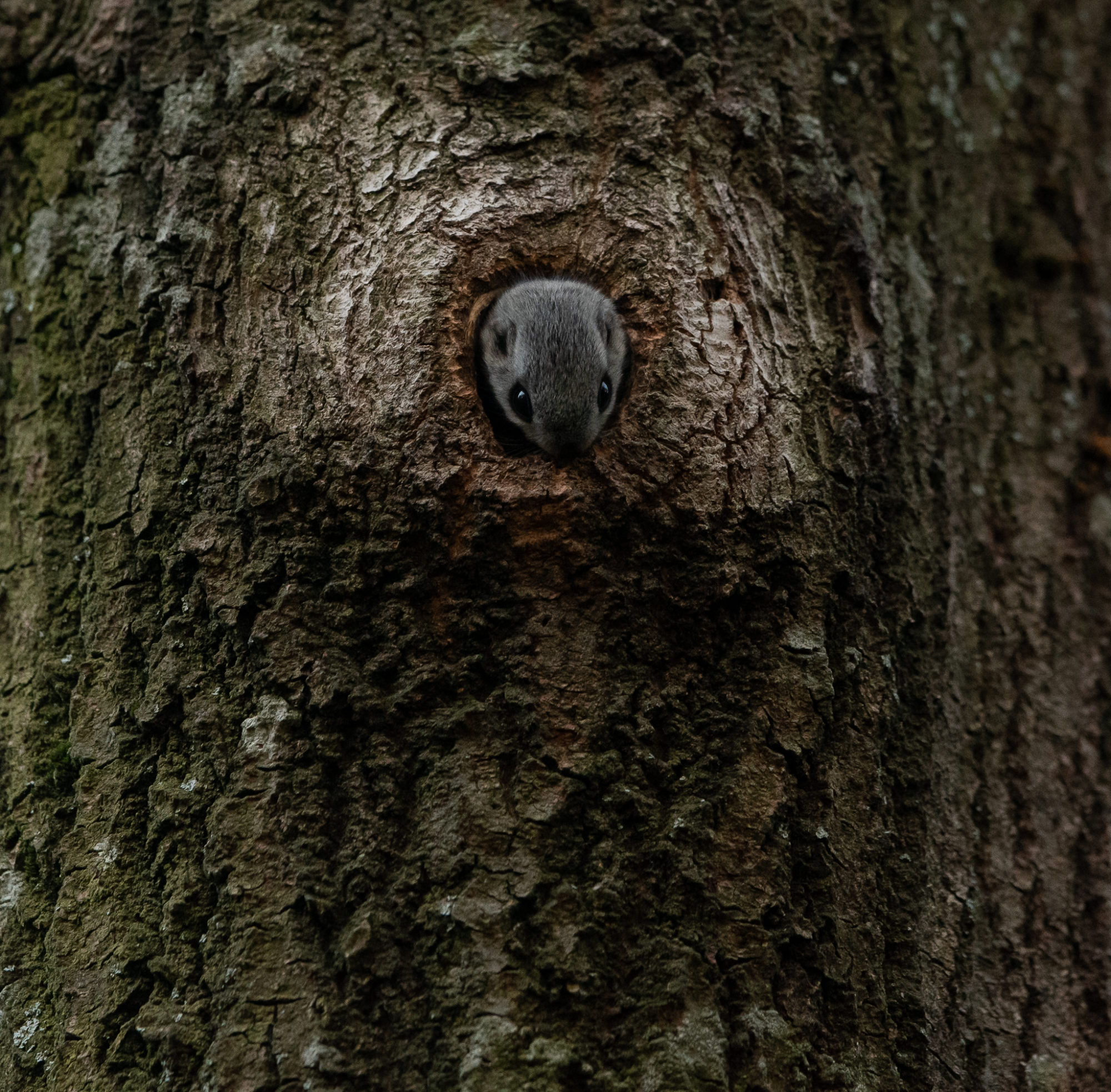 Valokuvaaja: Paul Stevens