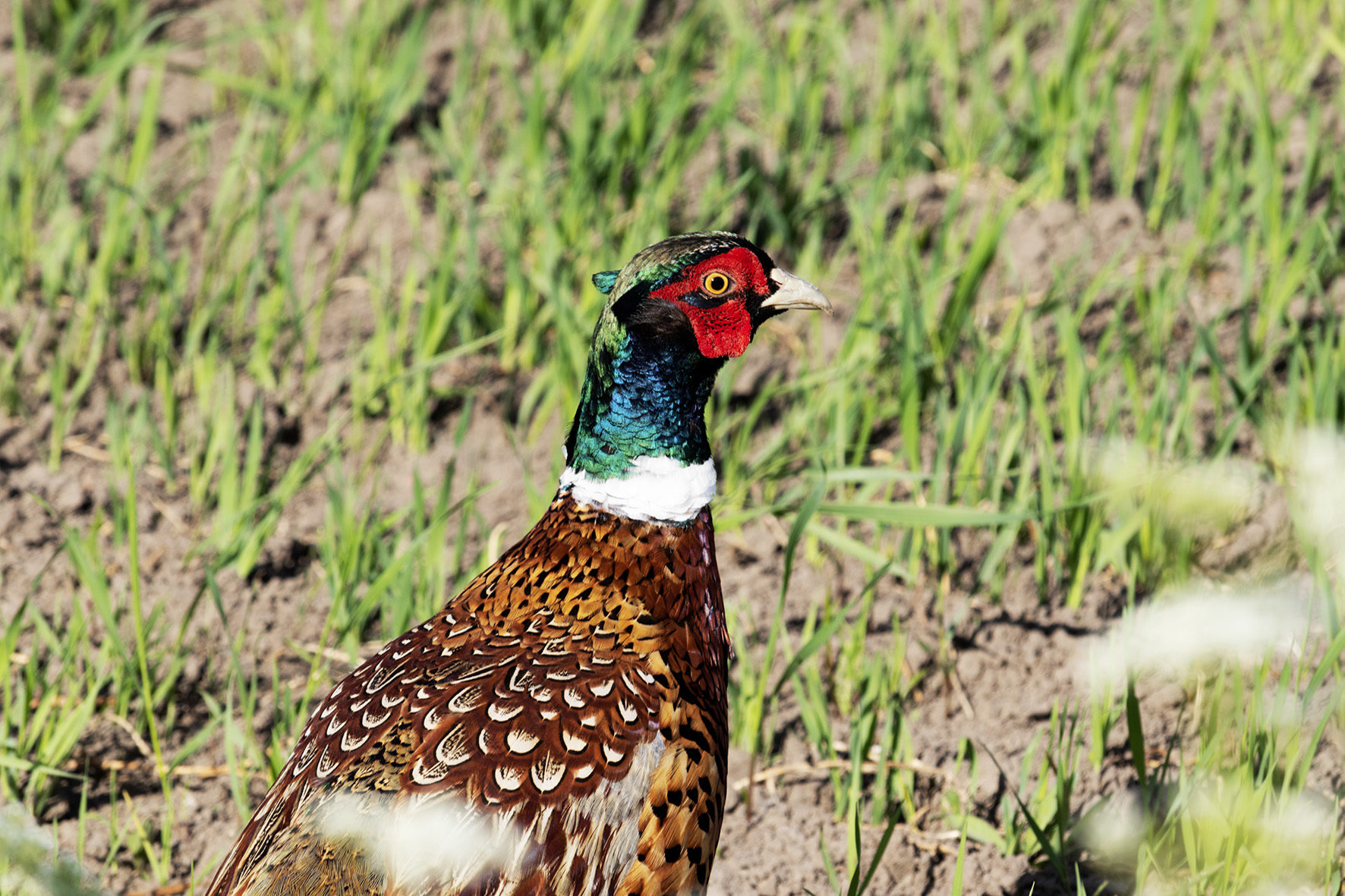 Valokuvaaja: Ida Leino