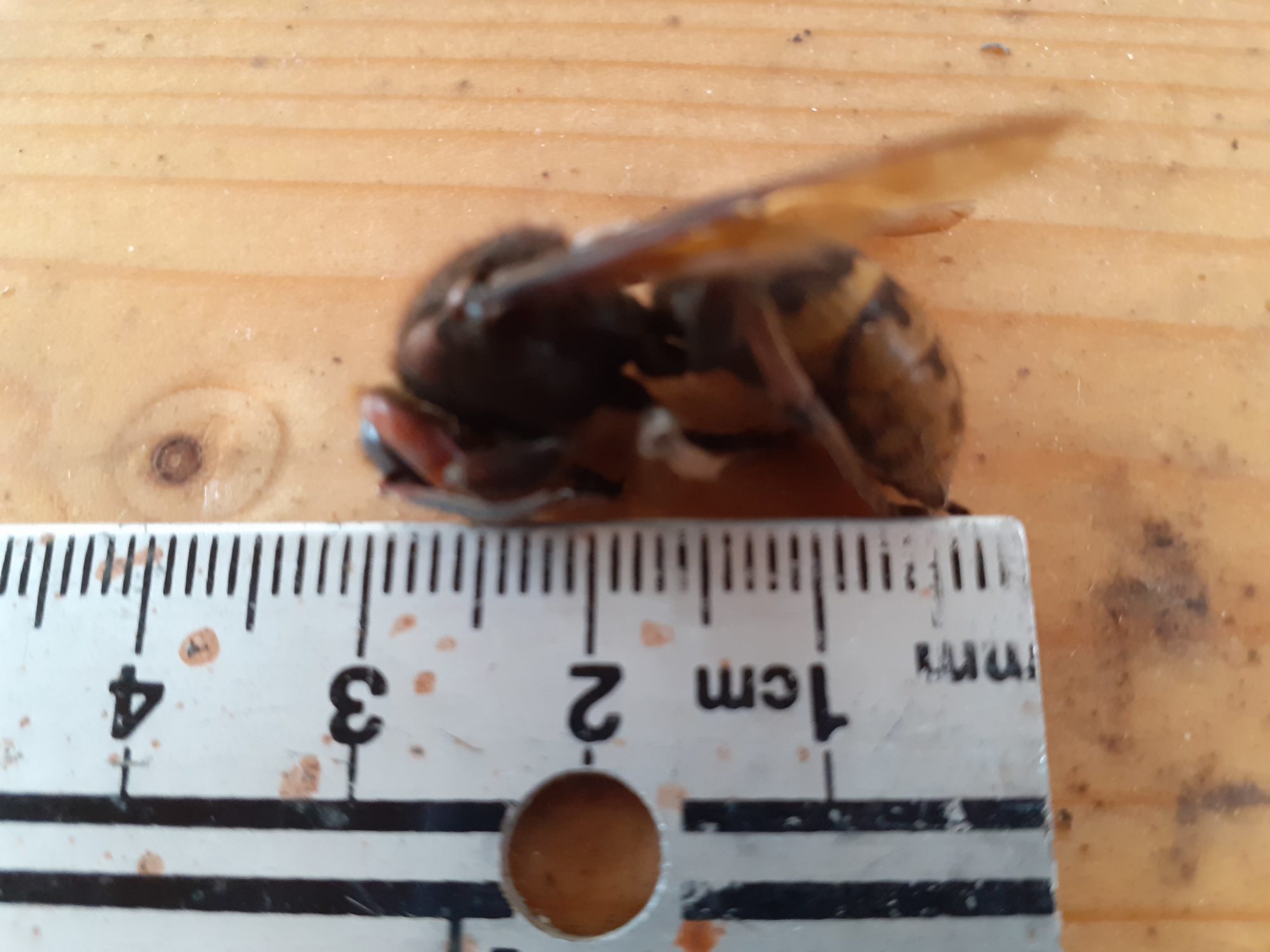 Valokuvaaja: Jukka jääskeläinen