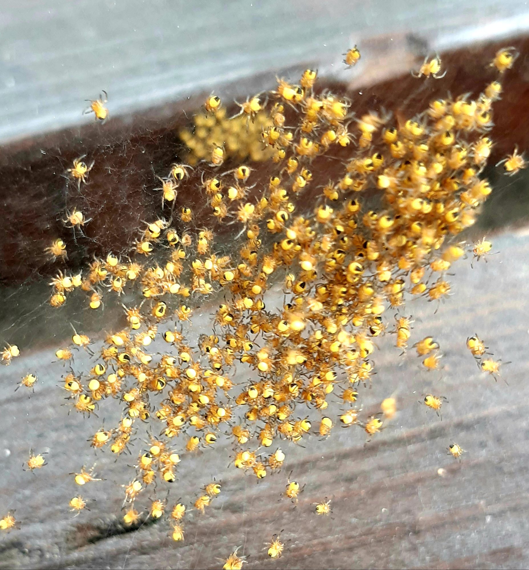 Valokuvaaja: Eeva Brofeldt Valokuvaaja: Eeva Brofeldt