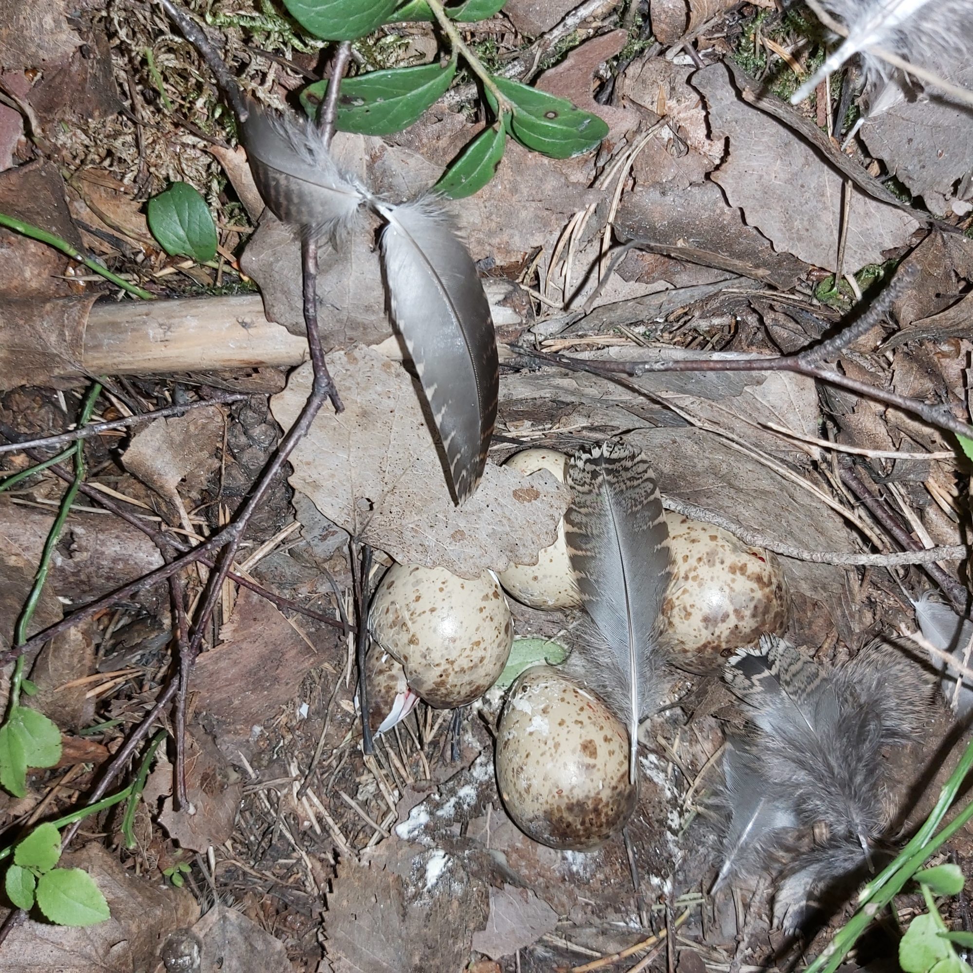 Valokuvaaja: Kaisa Marila