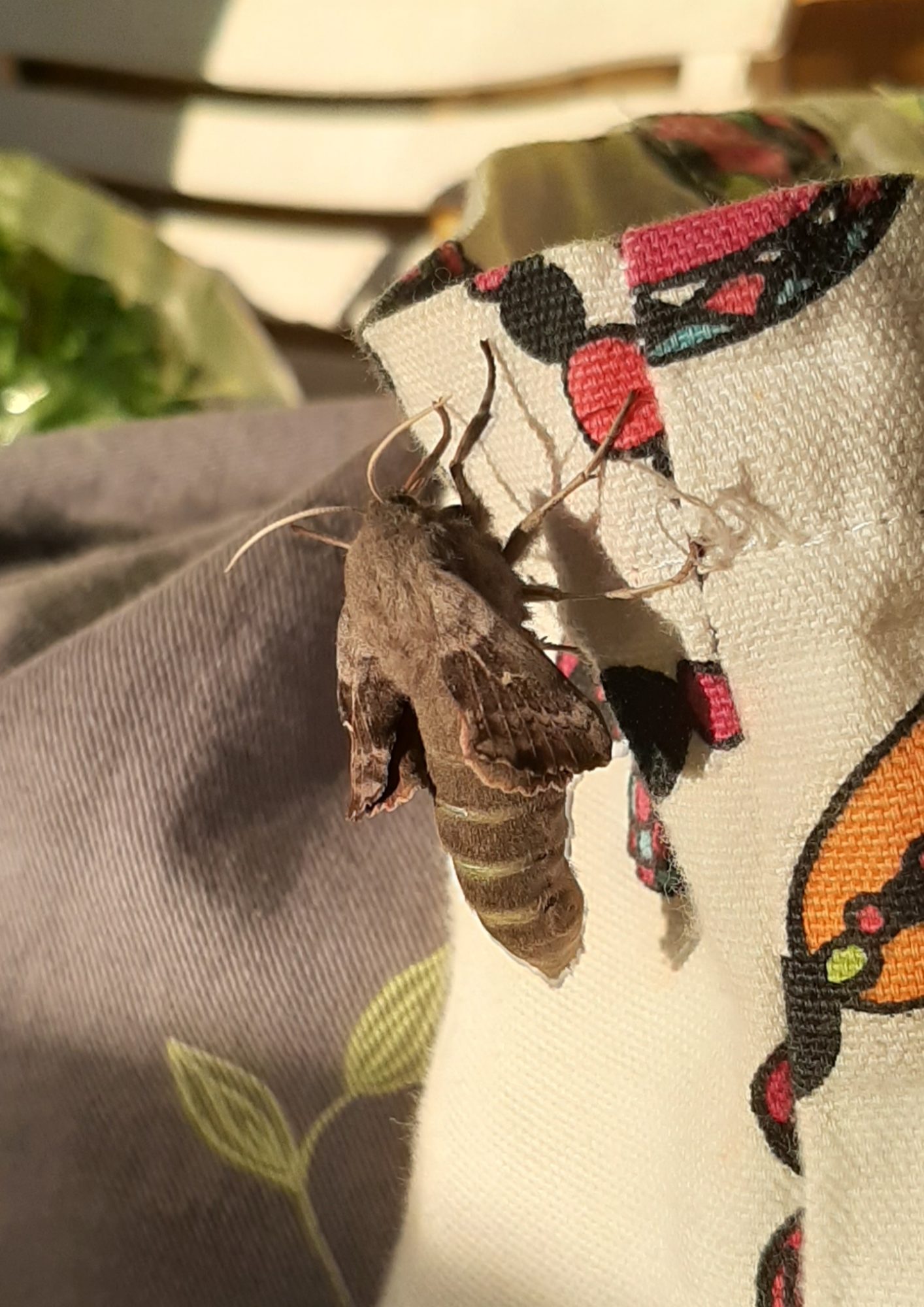 Valokuvaaja: Liida Rönkkä