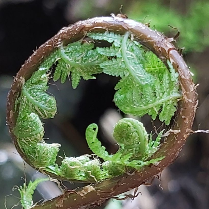 Valokuvaaja: Kaisa Marila