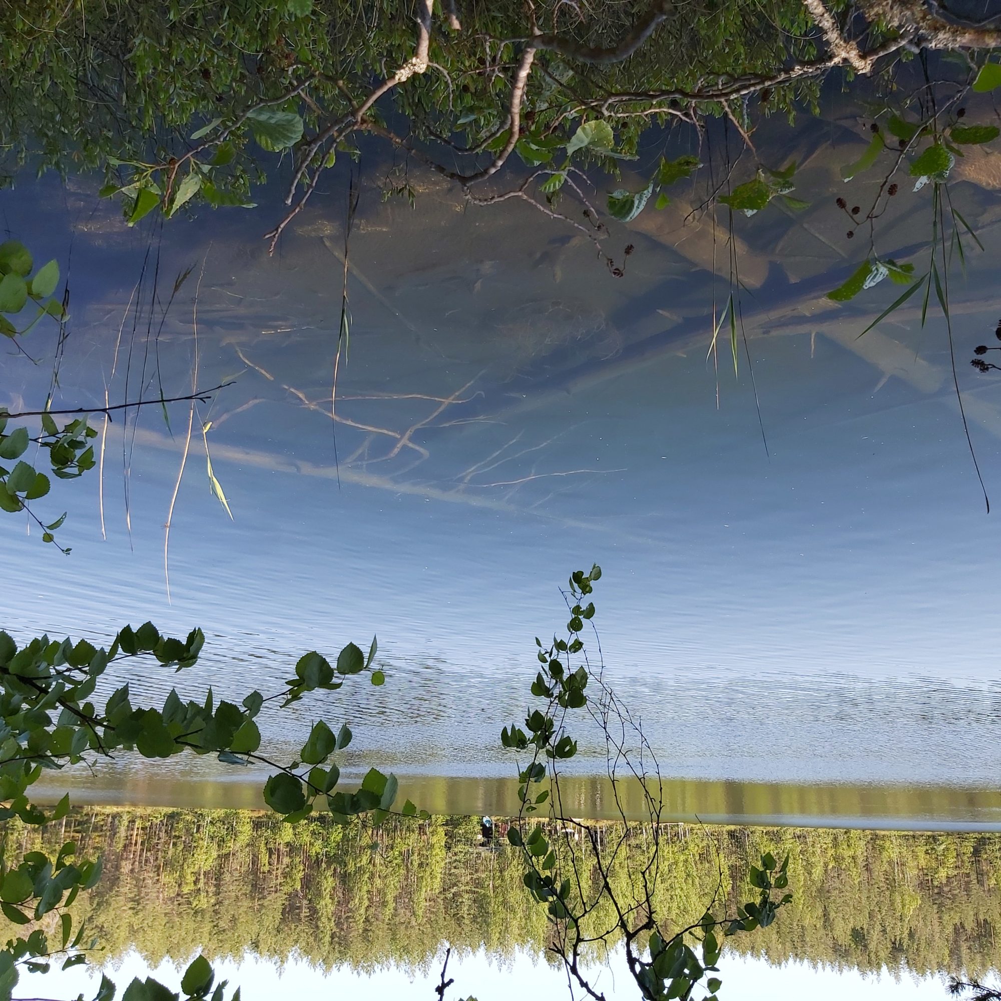 Valokuvaaja: Kaisa Marila