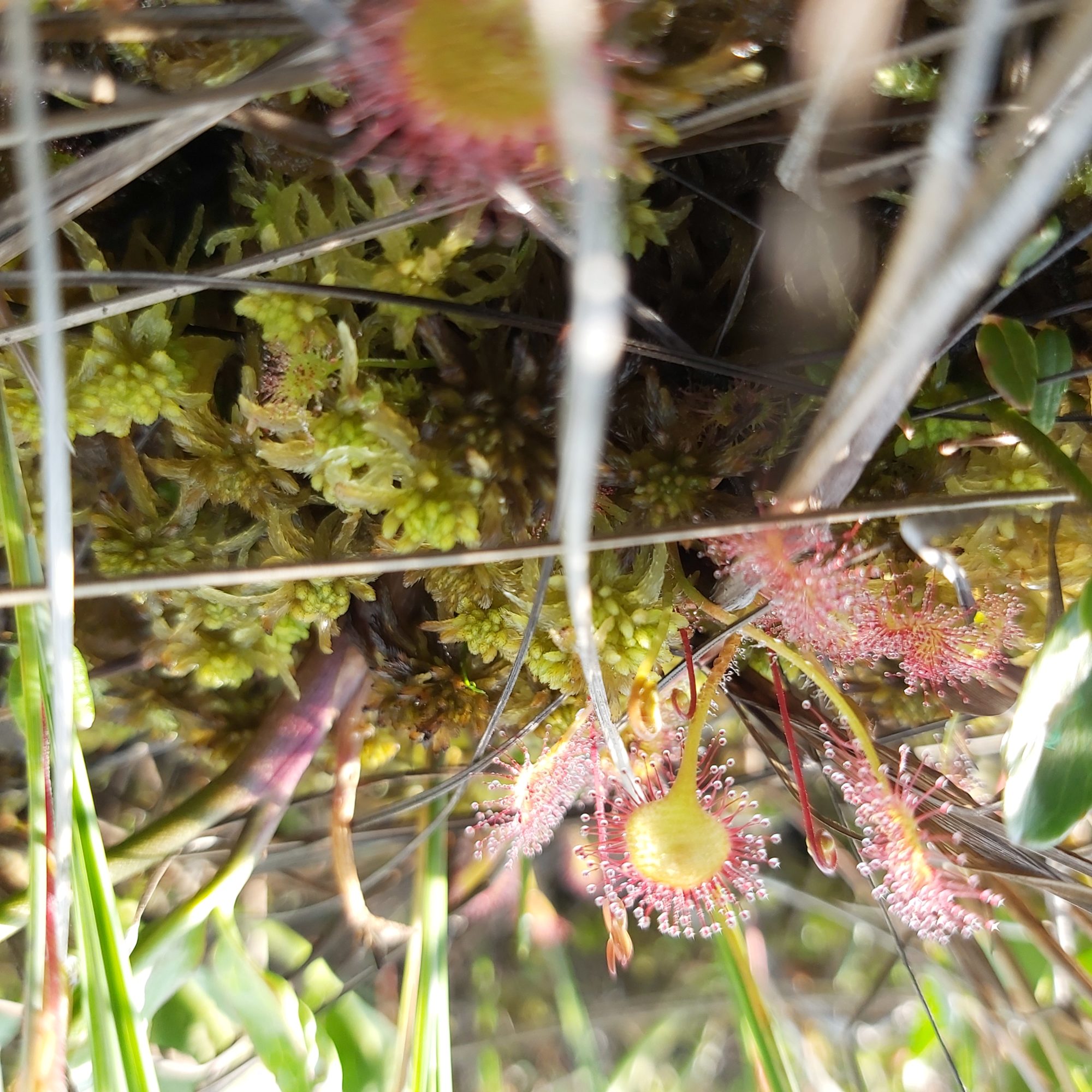 Valokuvaaja: Kaisa Marila