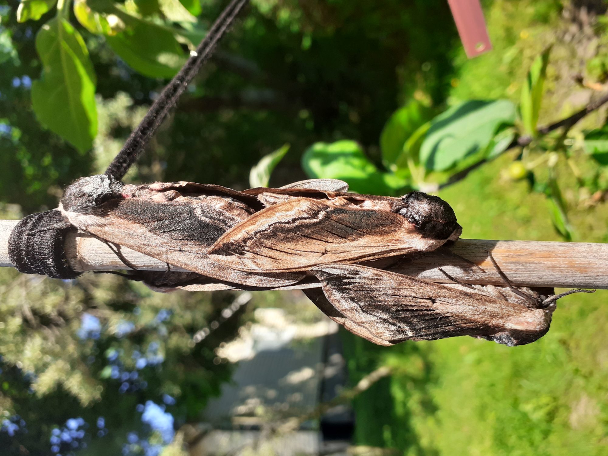 Valokuvaaja: Johanna Nummenpää