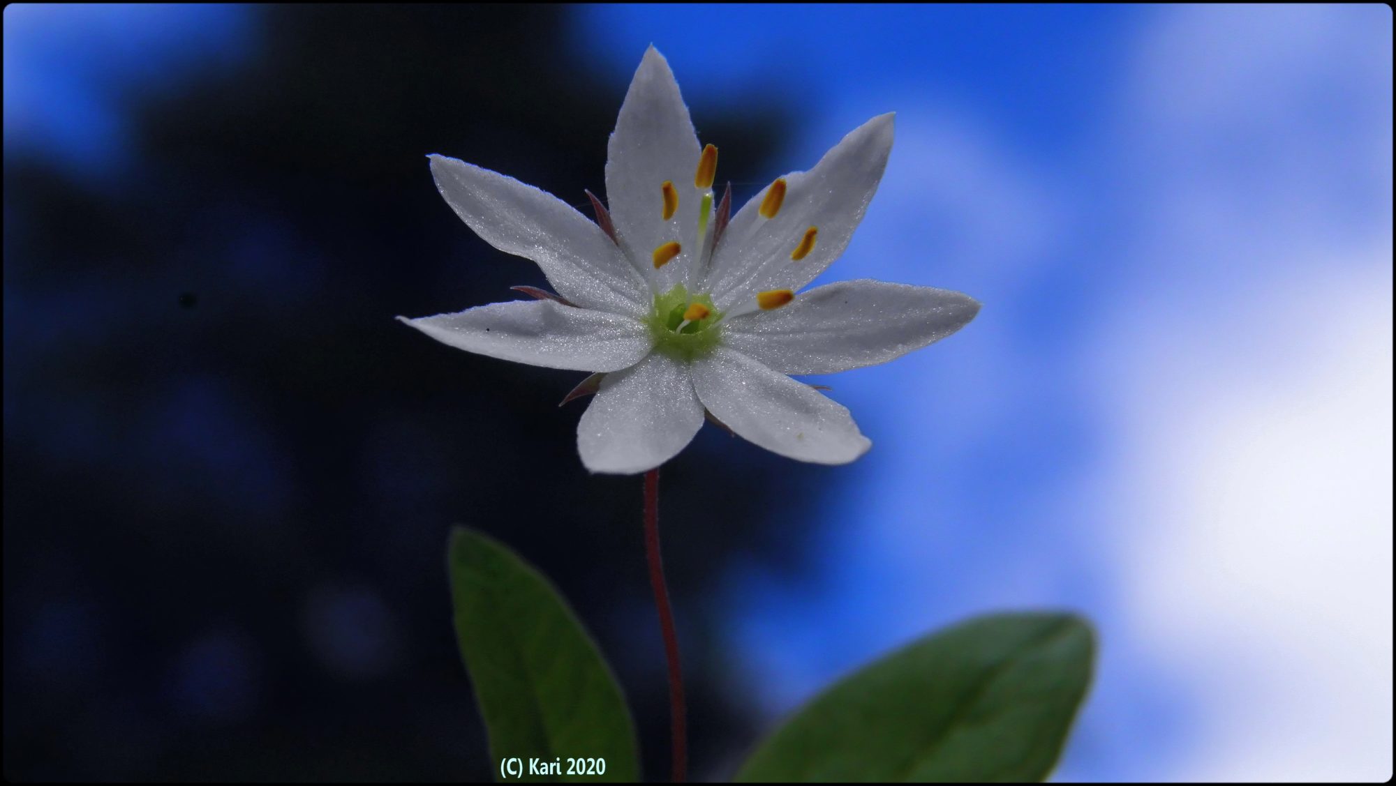 Valokuvaaja: Kari Saarinen Valokuvaaja: Kari Saarinen
