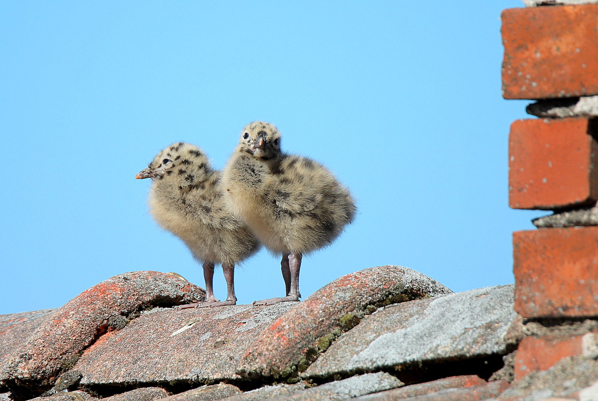 Valokuvaaja: sirpa jyske