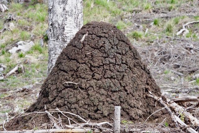 Valokuvaaja: Markku Ranta-Eilola