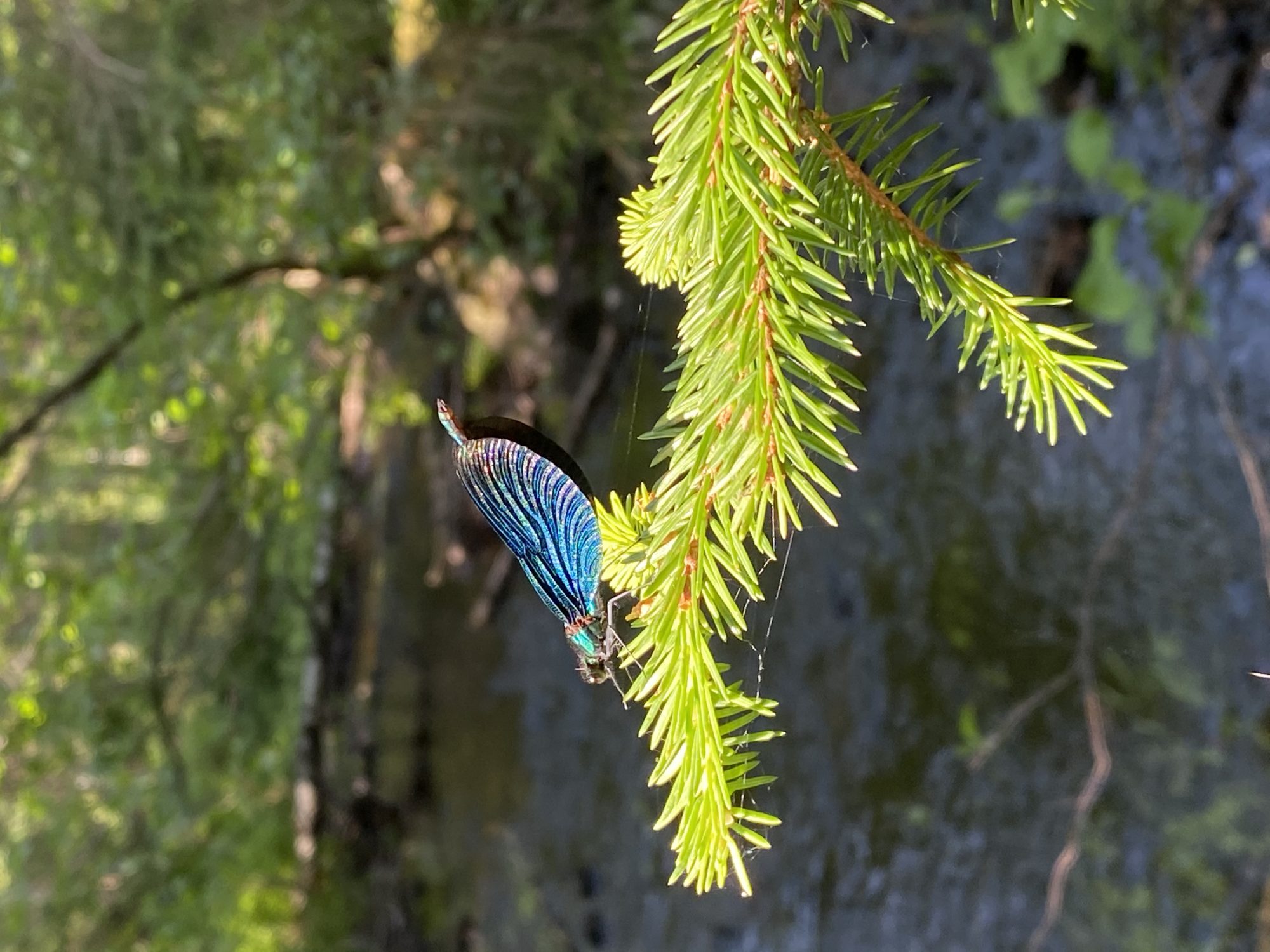 Valokuvaaja: Markku Ranta-Eilola