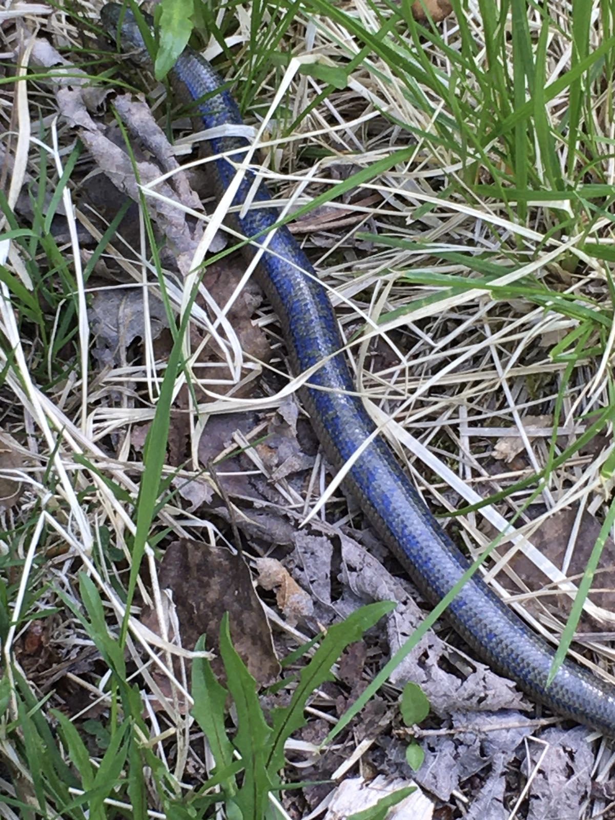 Valokuvaaja: Soile Kalari