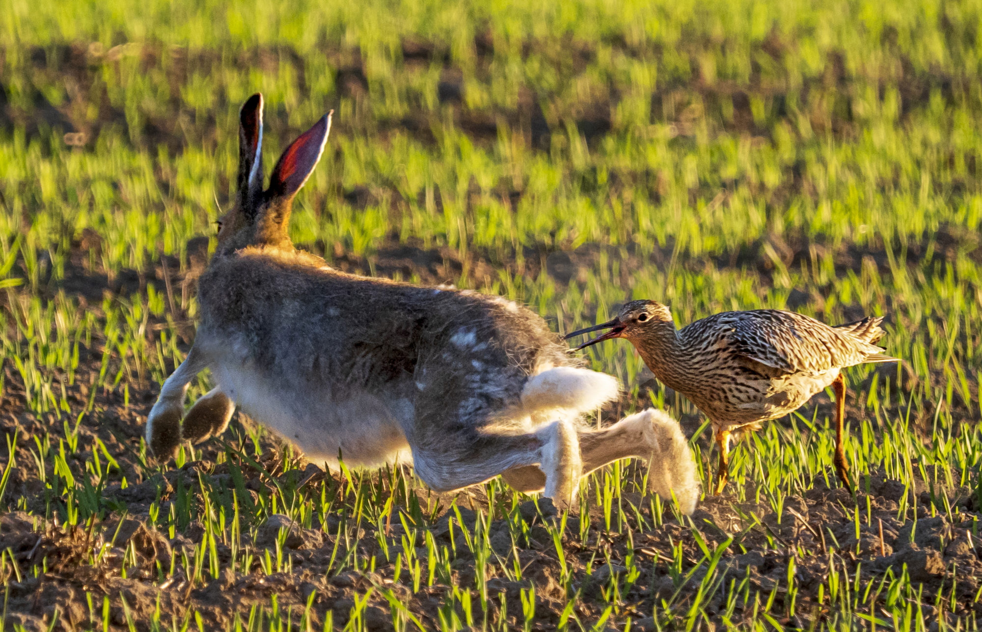 Valokuvaaja: Esko Pitkänen