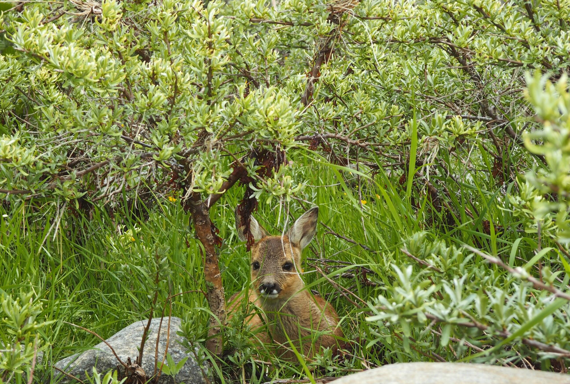 Valokuvaaja: Terhi Suutari