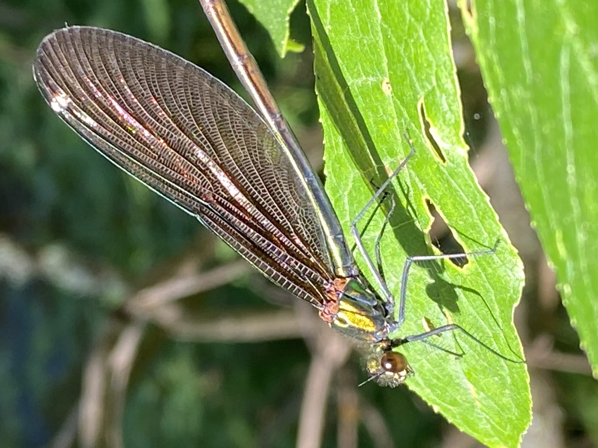 Valokuvaaja: Markku Ranta-Eilola