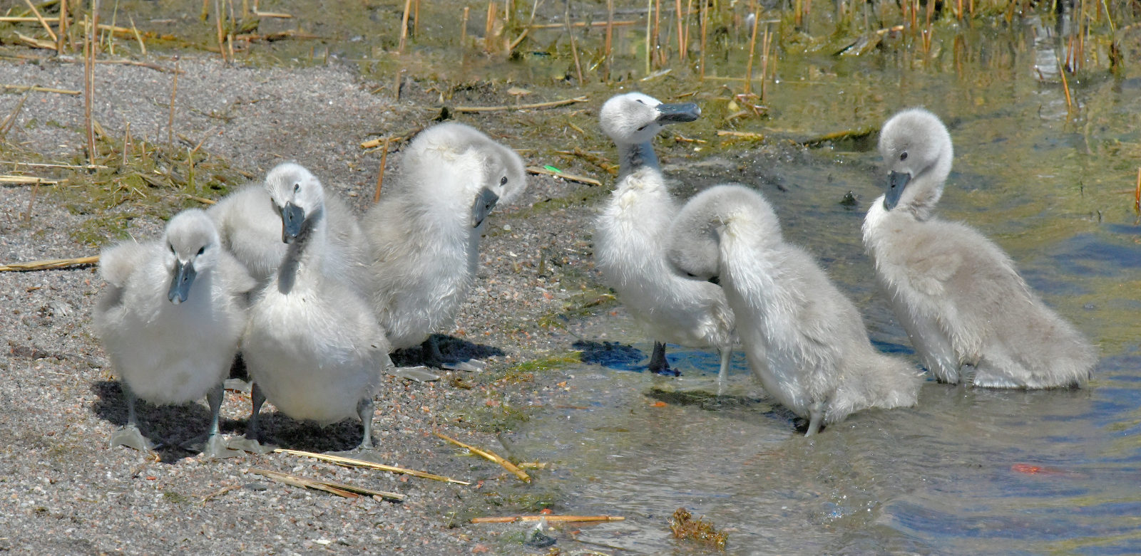 Valokuvaaja: Reijo Juurinen