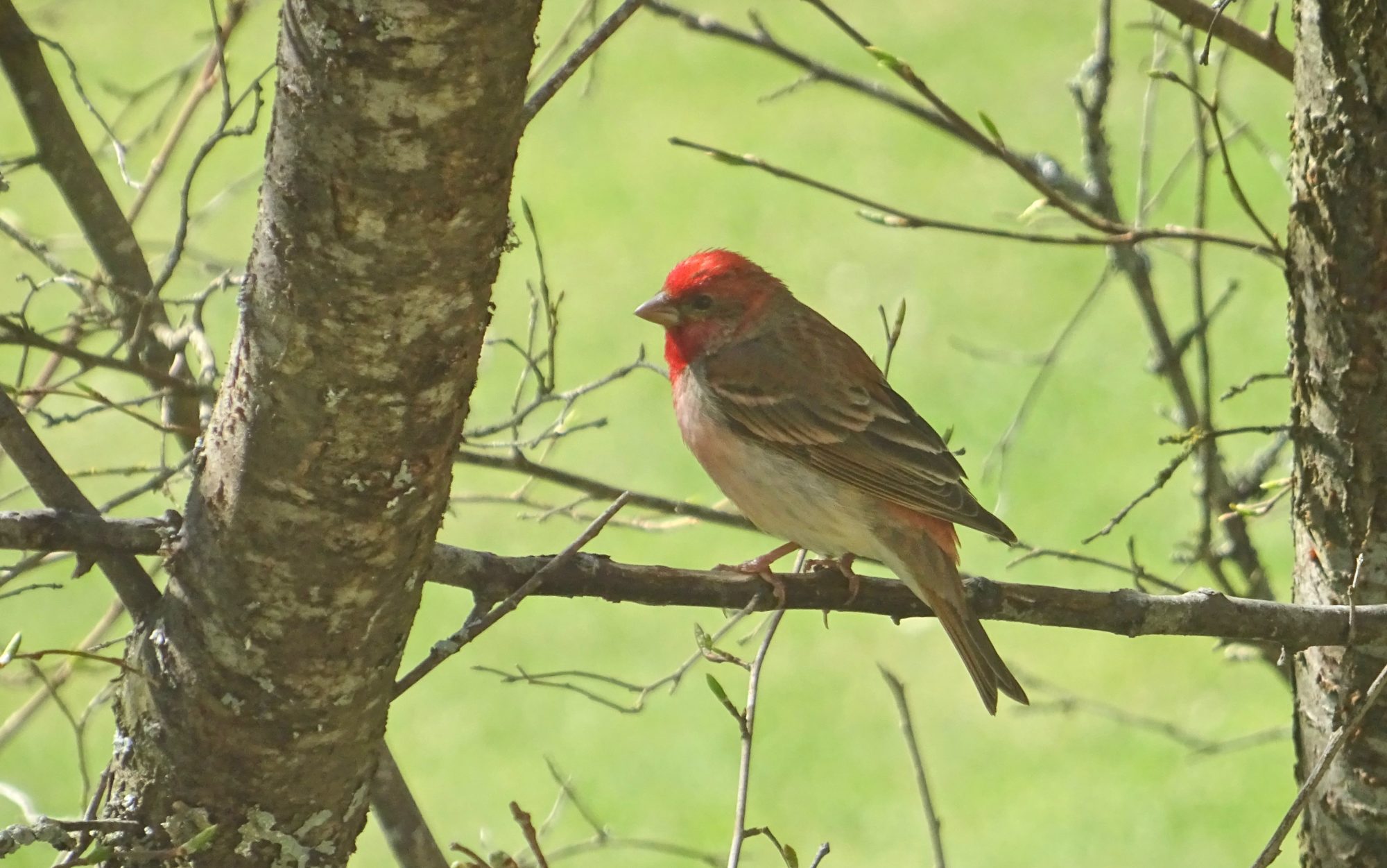 Valokuvaaja: Liisa Niiva-Korpela