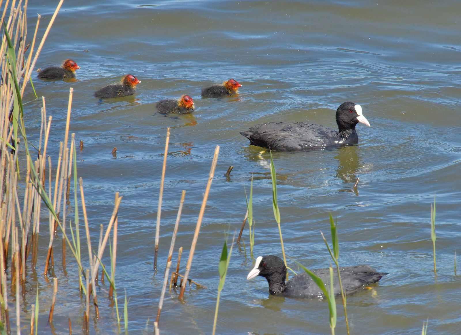 Valokuvaaja: Reijo Juurinen