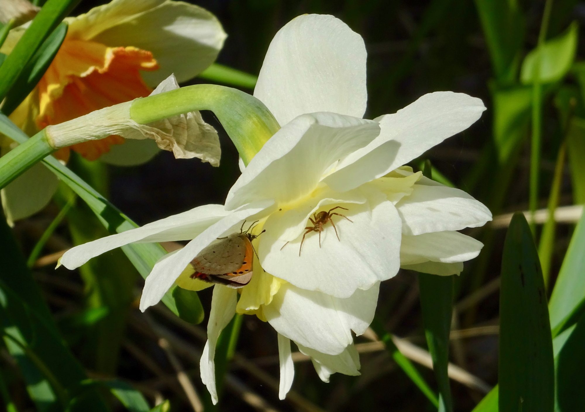 Valokuvaaja: Liisa Niiva-Korpela