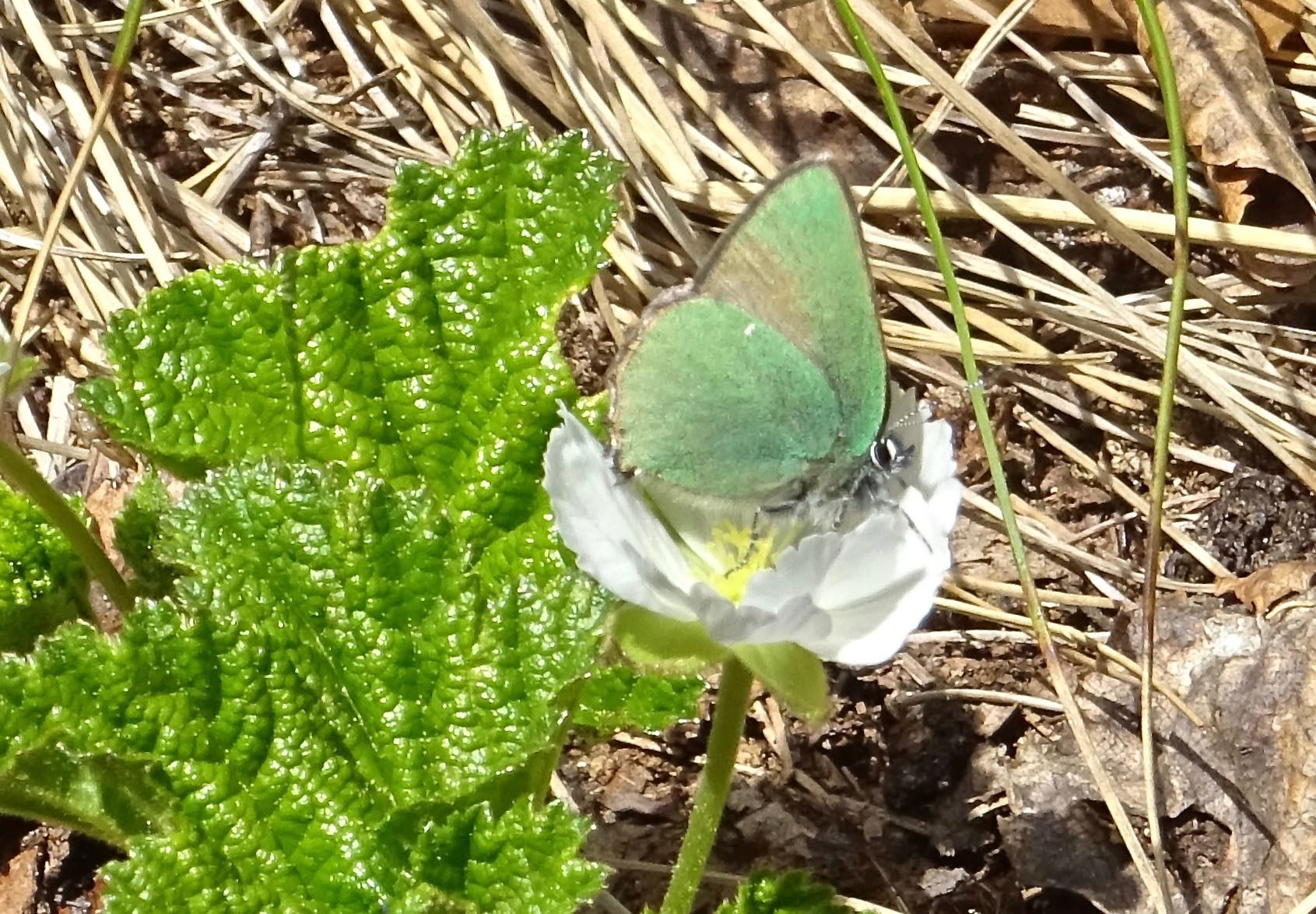 Valokuvaaja: Liisa Niiva-Korpela