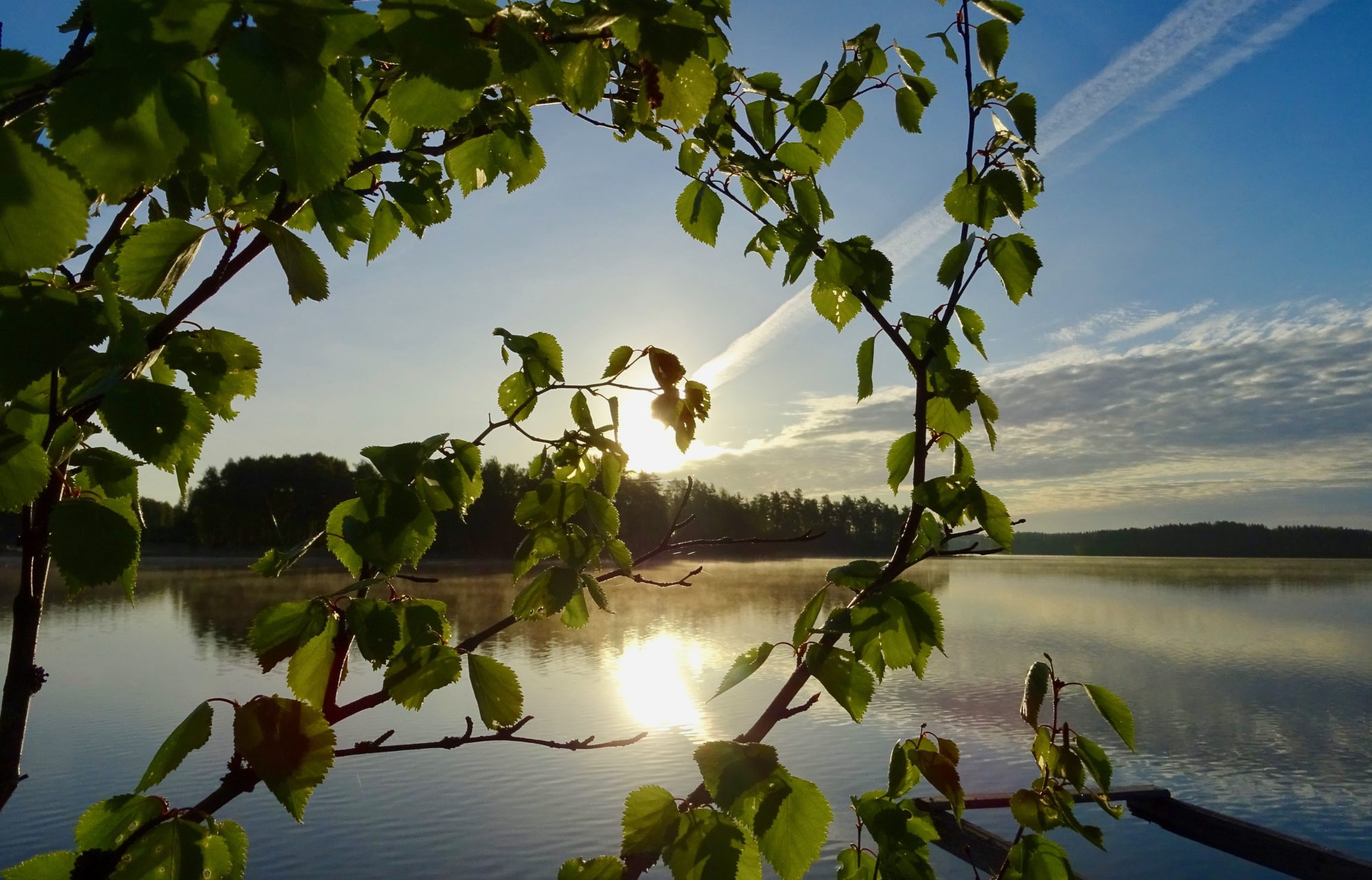 Valokuvaaja: Liisa Niiva-Korpela