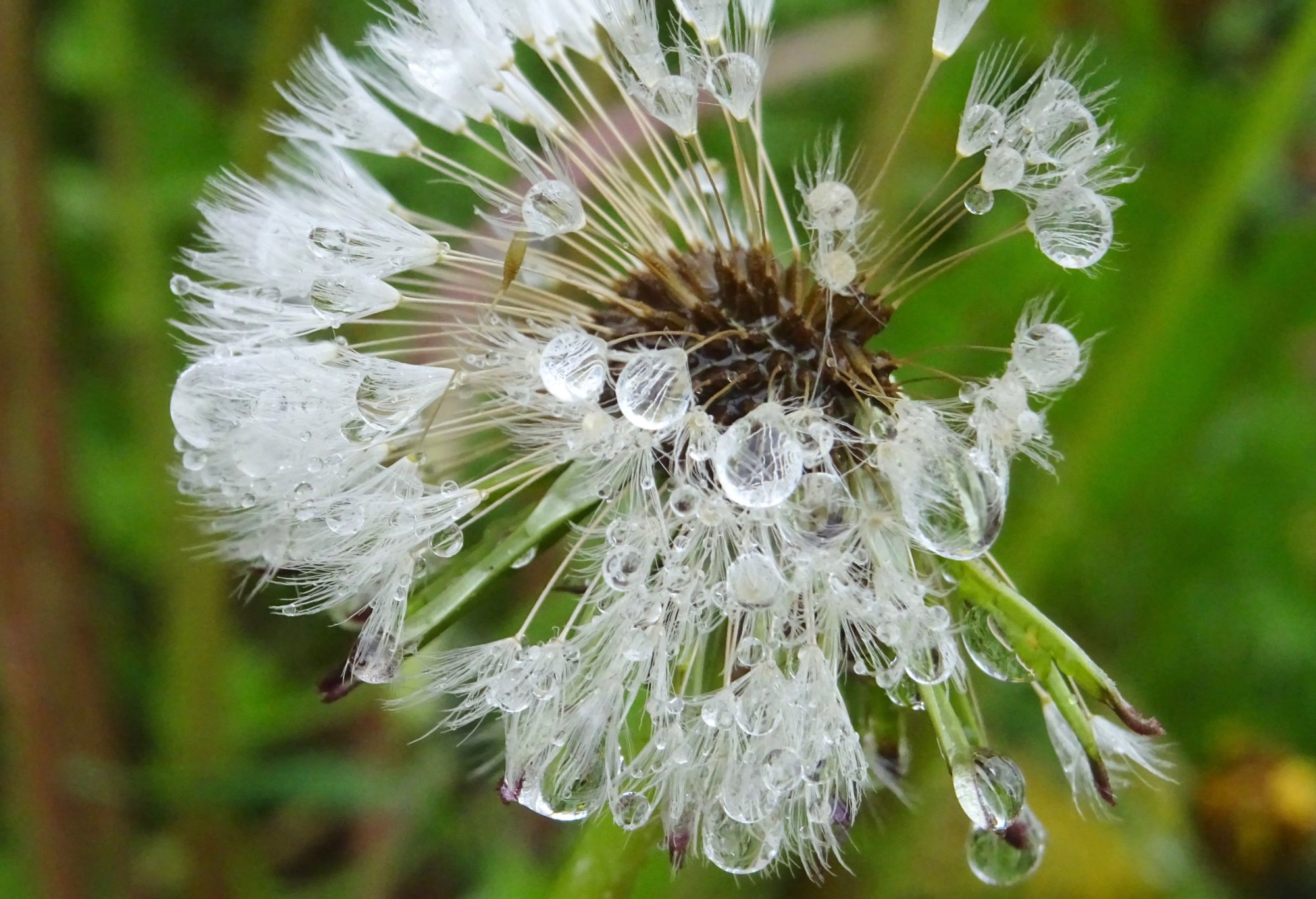 Valokuvaaja: Liisa Niiva-Korpela