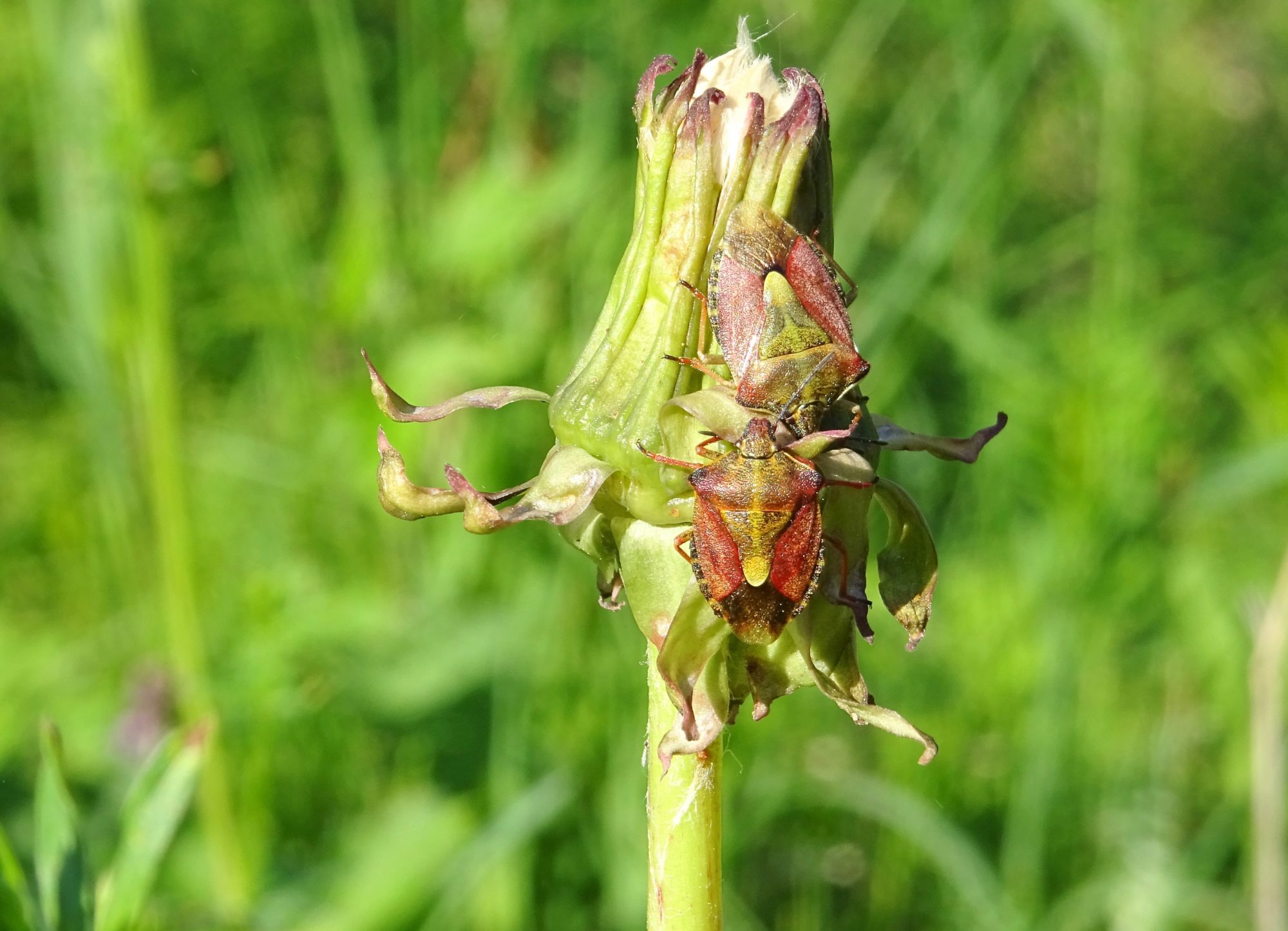 Valokuvaaja: Liisa Niiva-Korpela