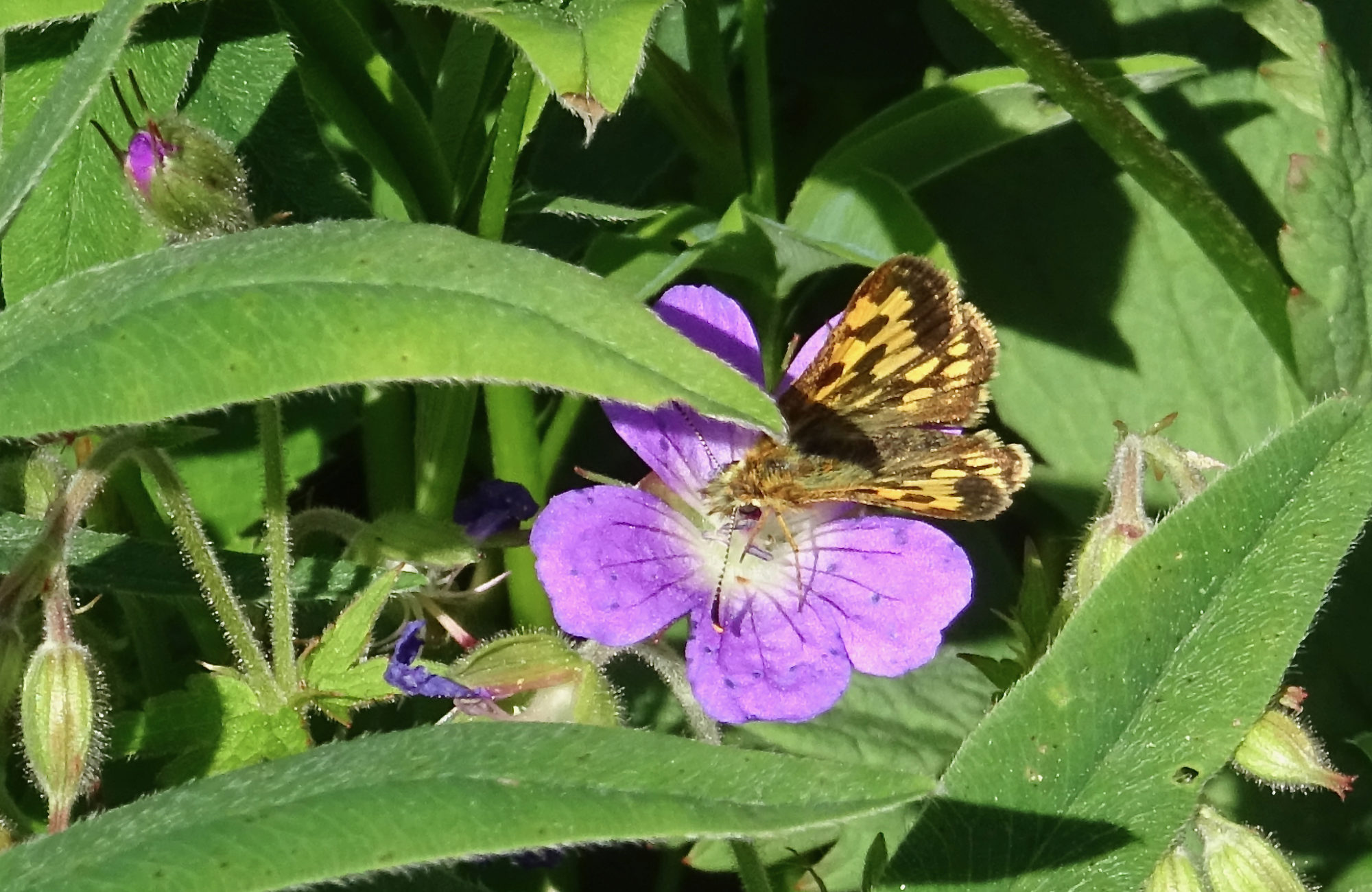 Valokuvaaja: Liisa Niiva-Korpela