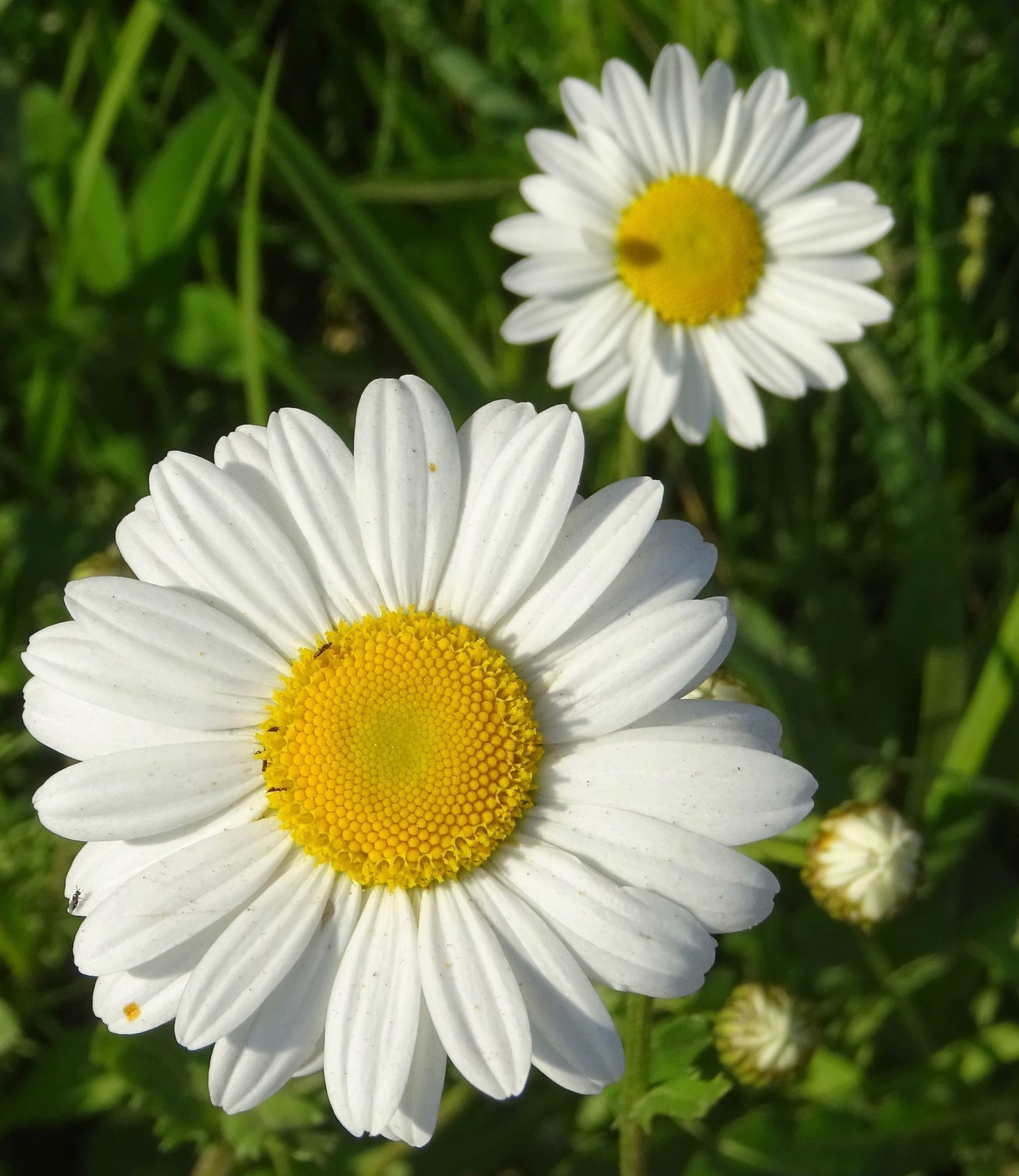 Valokuvaaja: Liisa Niiva-Korpela Valokuvaaja: Liisa Niiva-Korpela