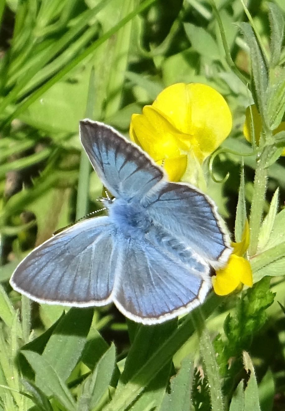 Valokuvaaja: Liisa Niiva-Korpela