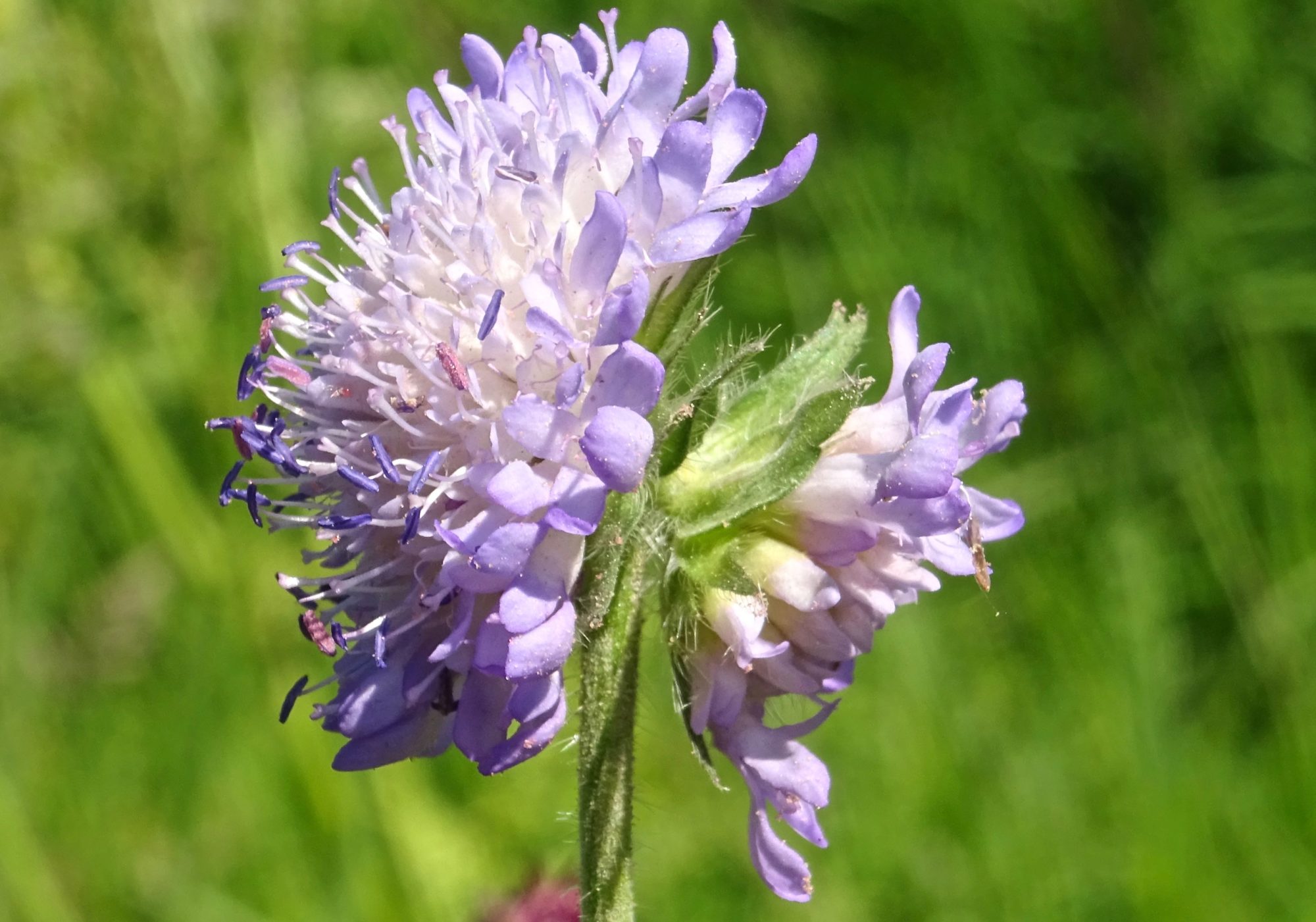 Valokuvaaja: Liisa Niiva-Korpela