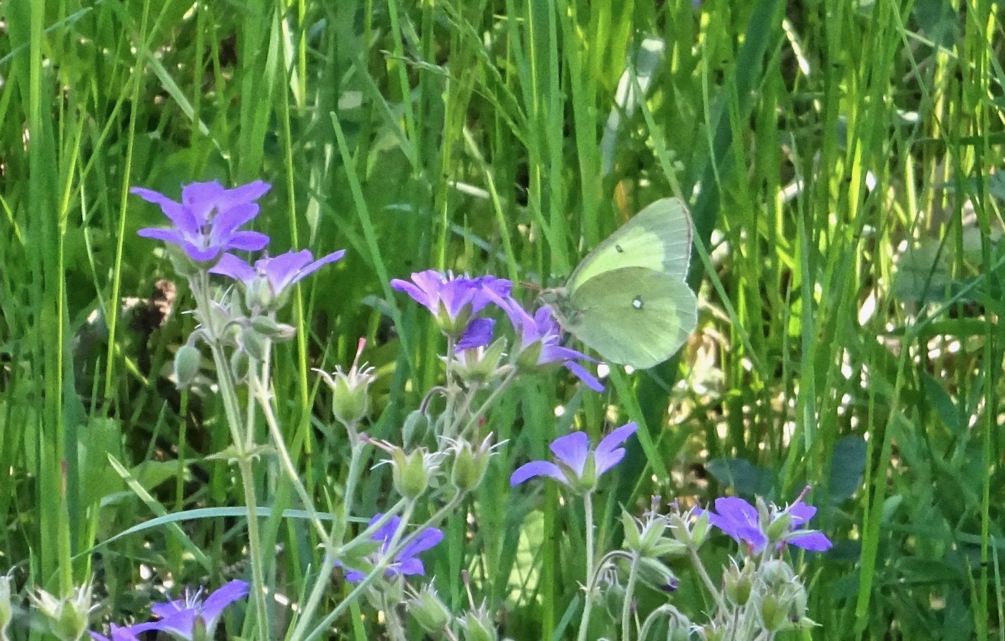 Valokuvaaja: Liisa Niiva-Korpela