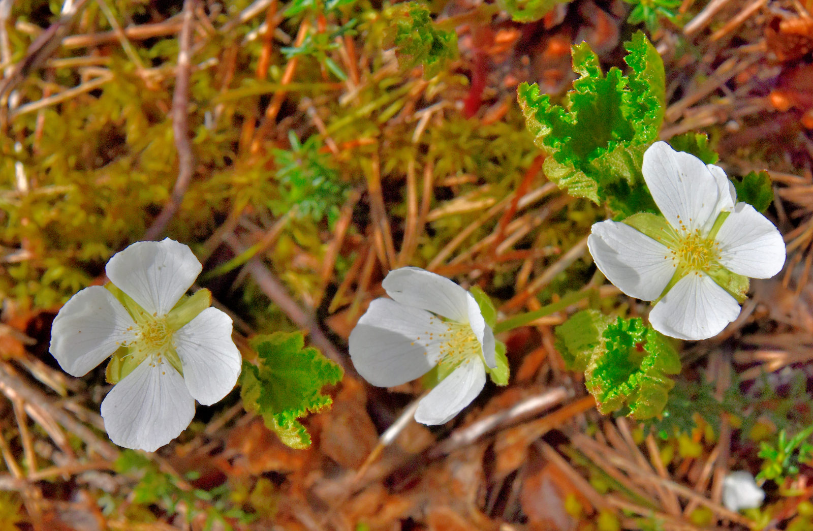 Valokuvaaja: Reijo Juurinen