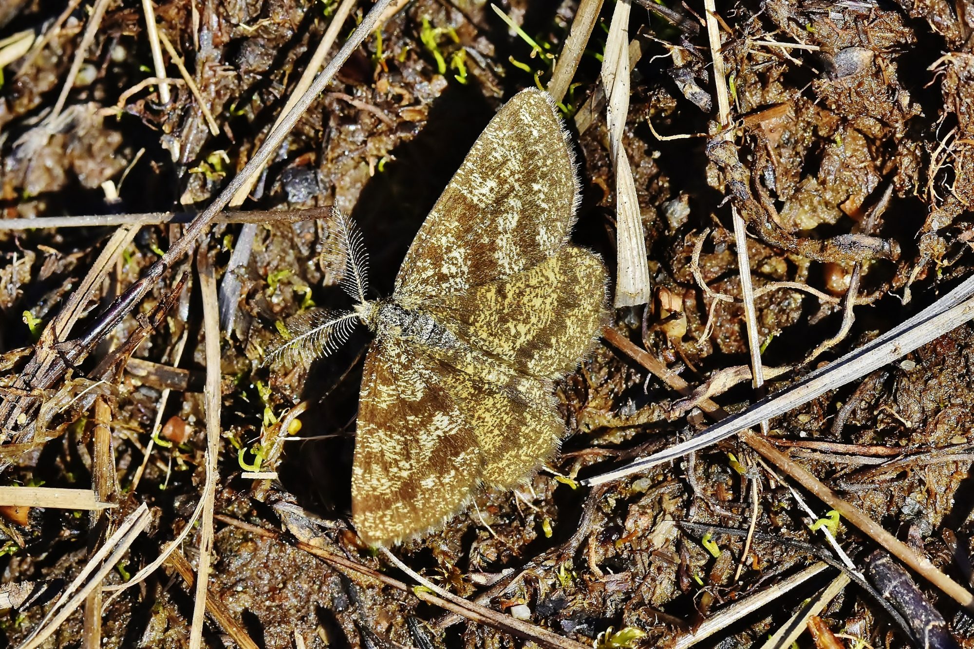 Valokuvaaja: Markku Pelkonen Valokuvaaja: Markku Pelkonen