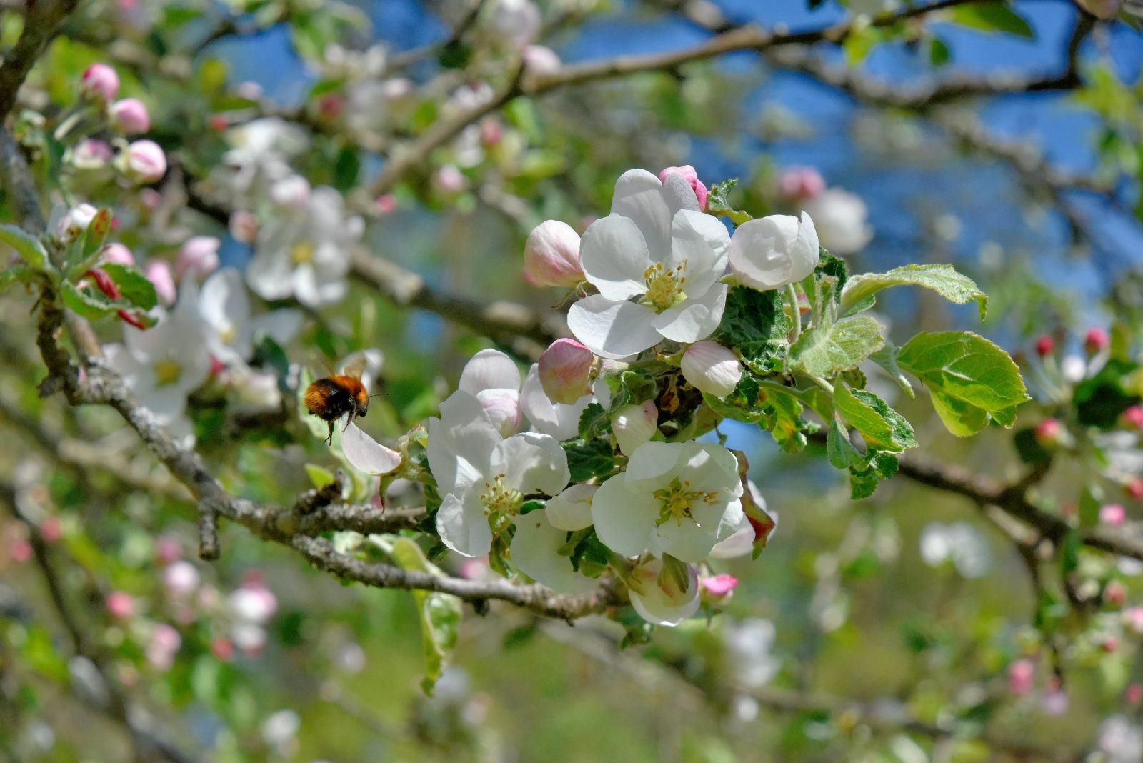 Valokuvaaja: Reijo Juurinen