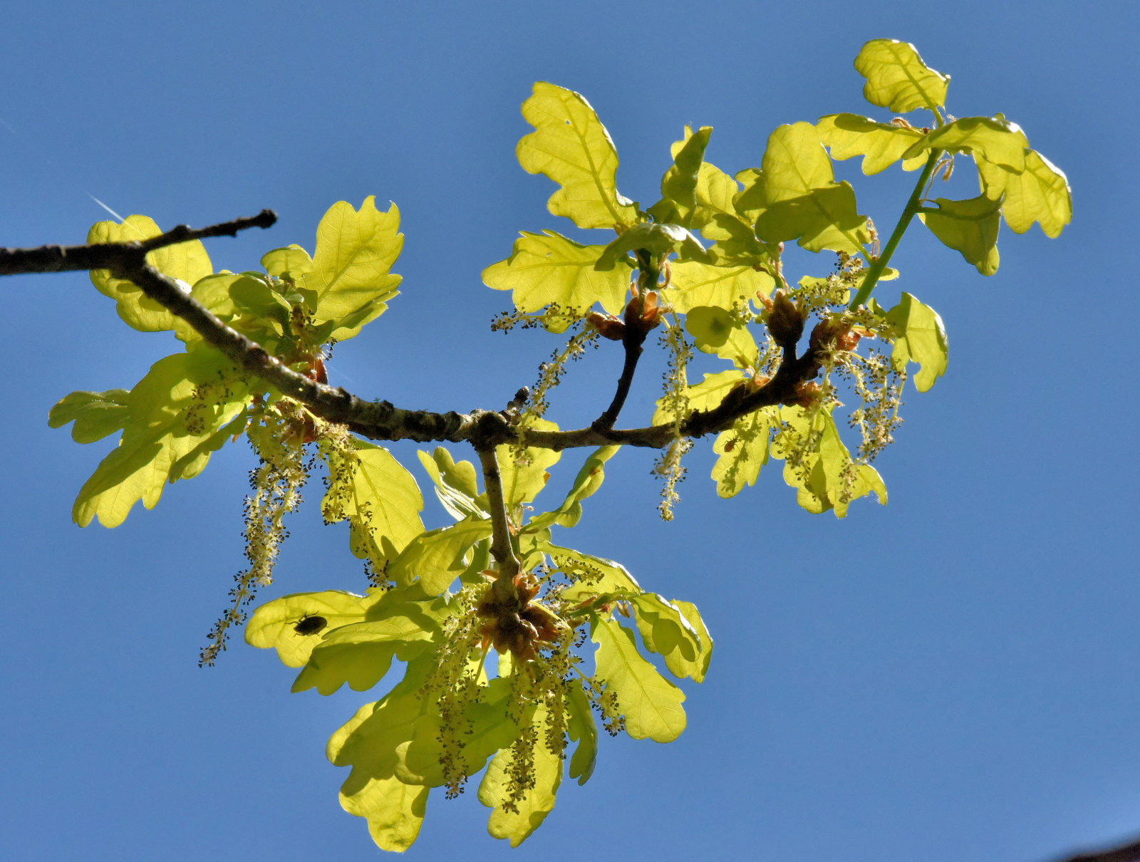 Valokuvaaja: Reijo Juurinen